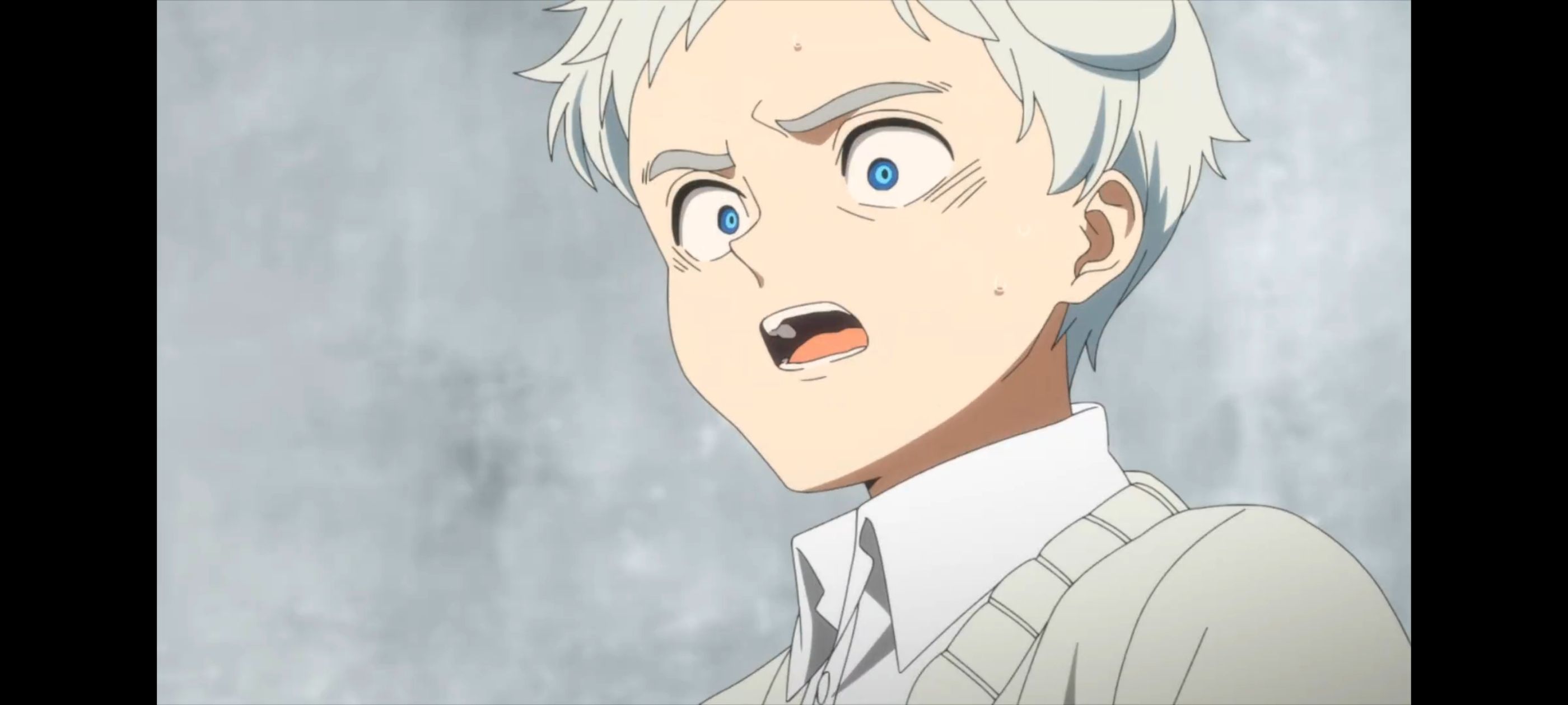 约定的梦幻岛,动画,动漫,番剧,二次元,ACG