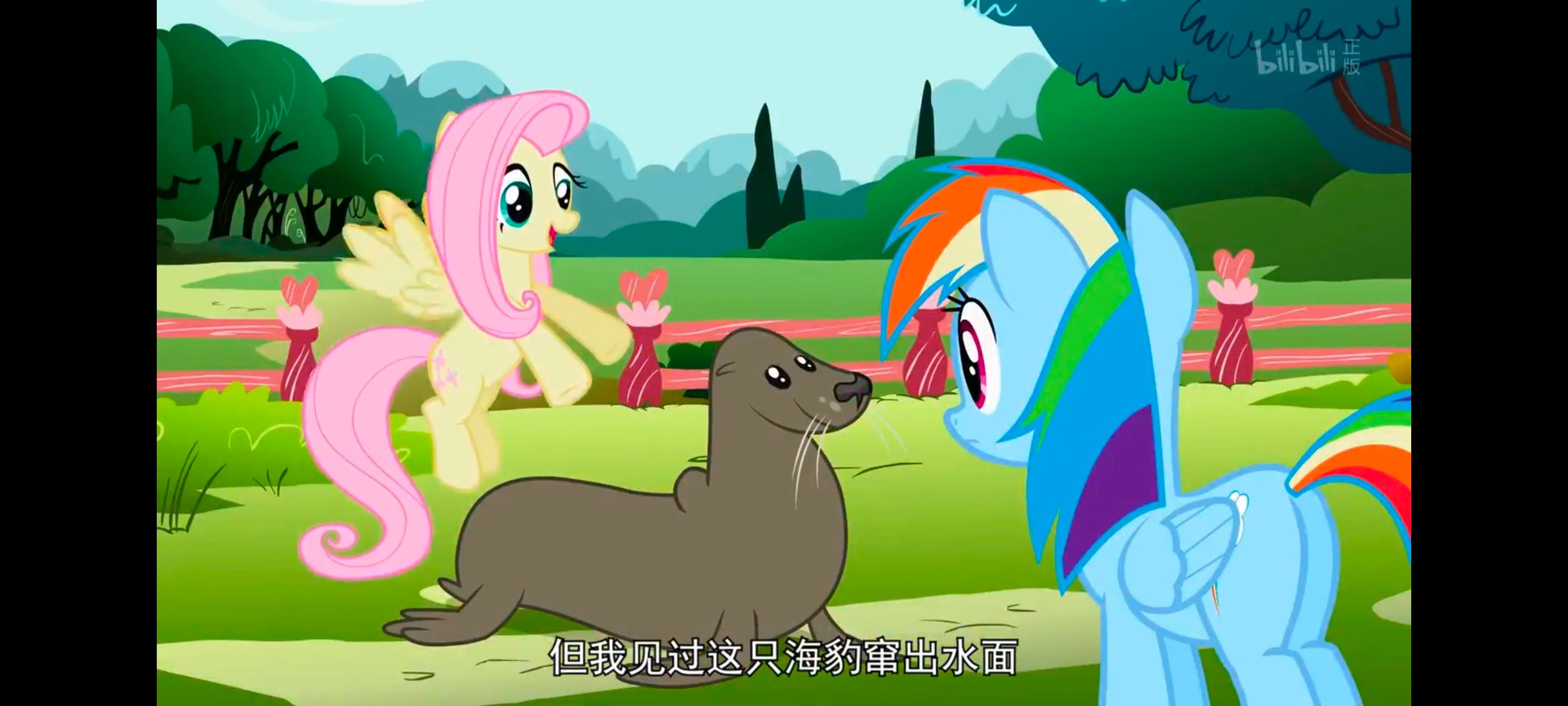 小马宝莉,彩虹小马,我的小马驹,动画,动漫,番剧,二次元,ACG