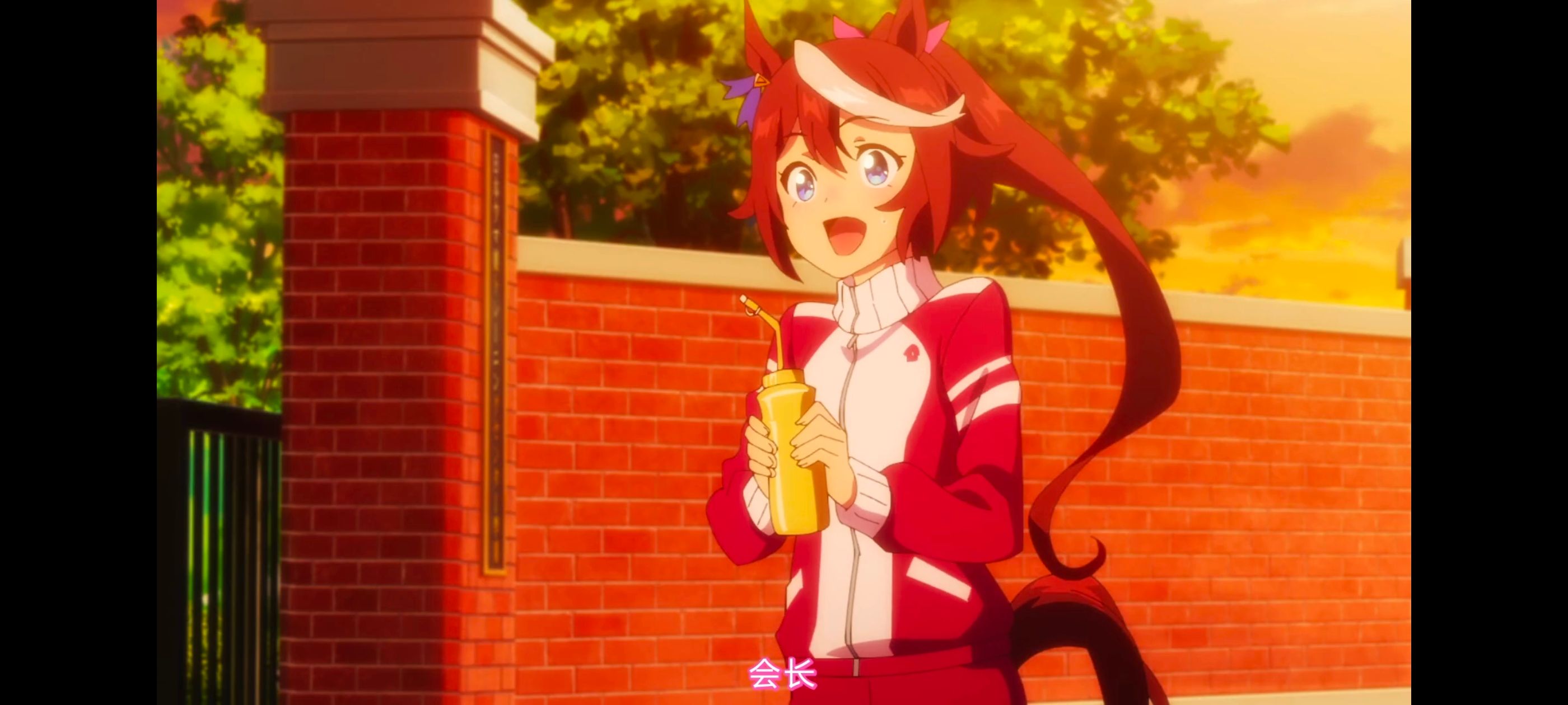 赛马娘,赛马娘PrettyDreby,赛马娘第二季,动画,动漫,番剧,ACG