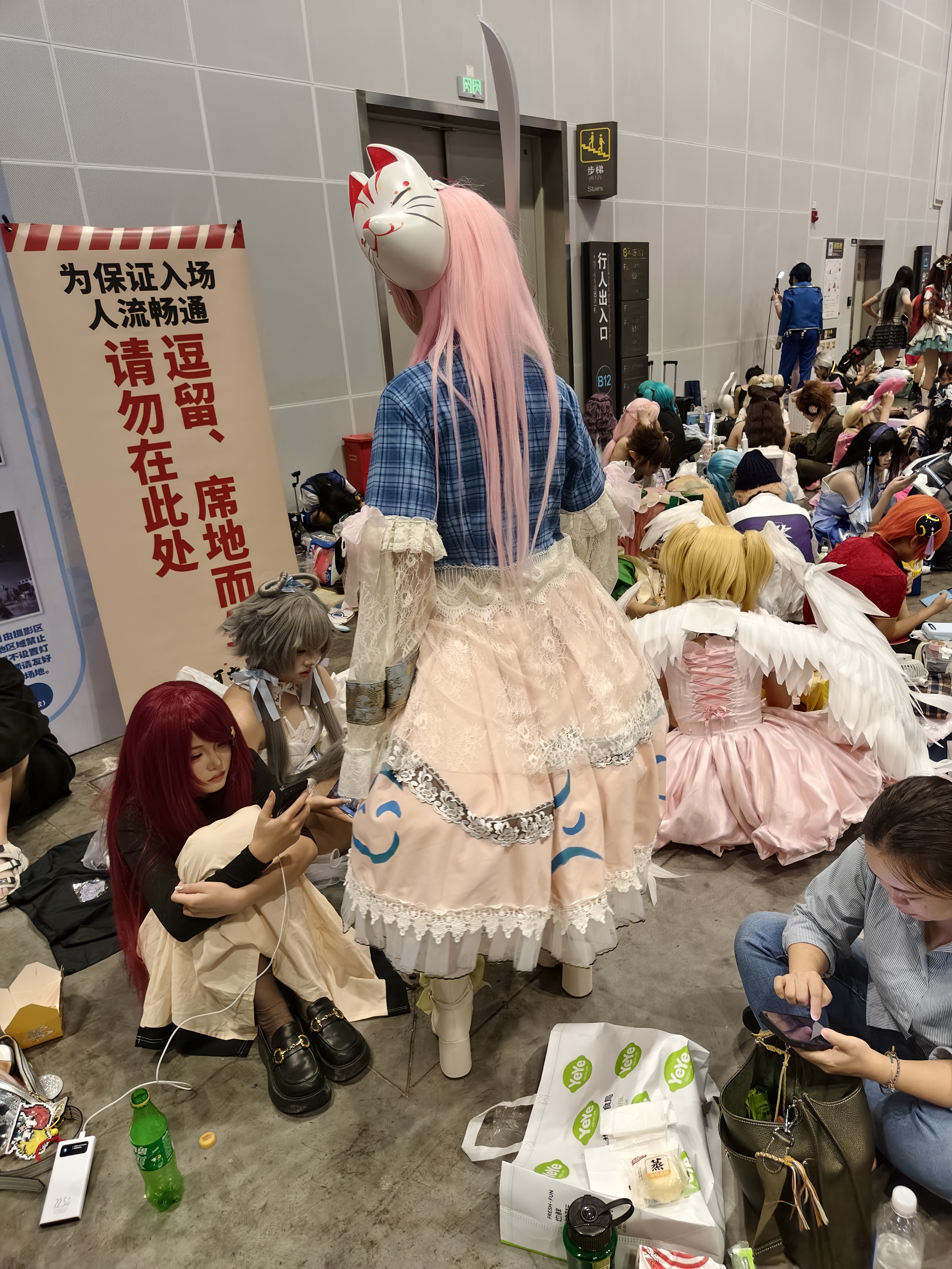 漫展,二次元,东方project,术力口,初音未来,镜音双子,特摄,奥特曼,Minecraft,痛车