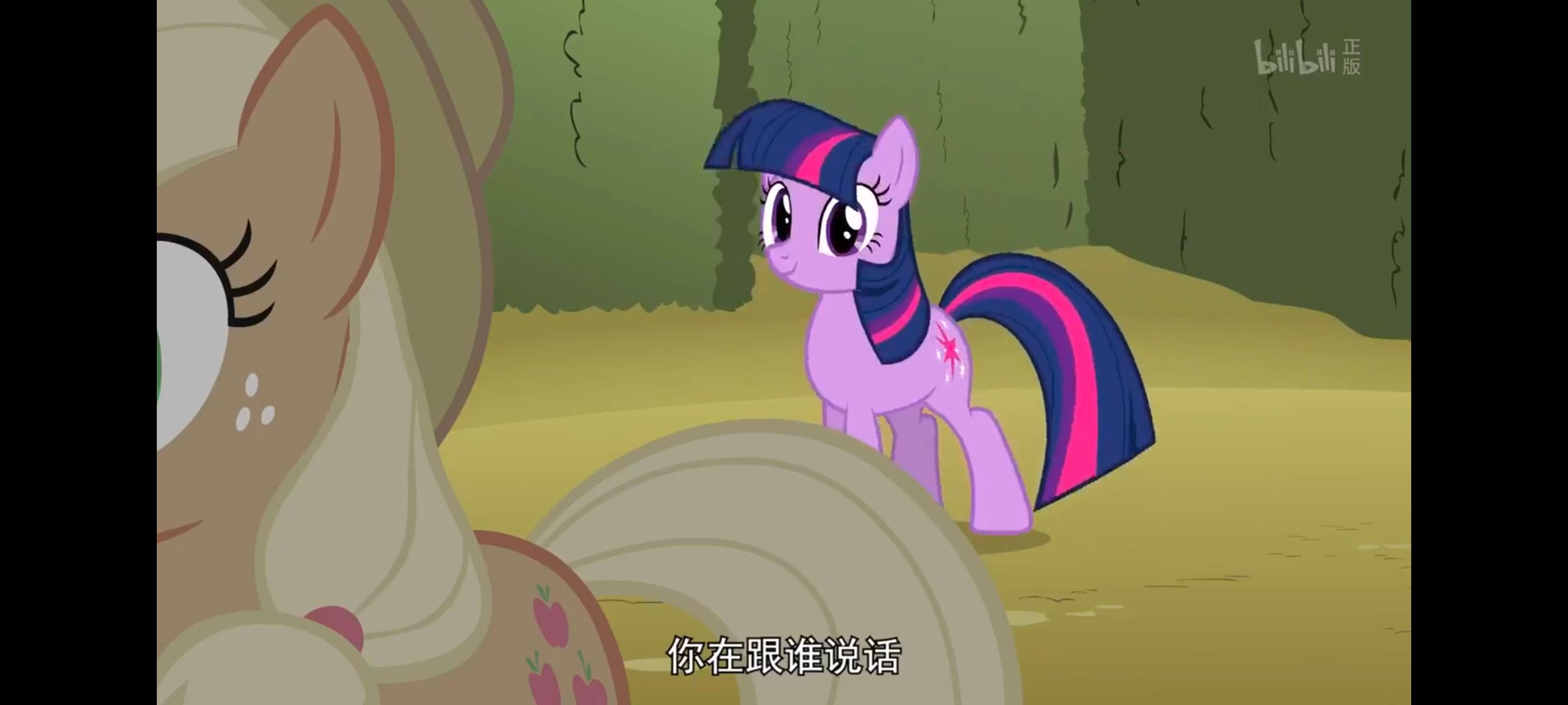 小马宝莉,小马宝莉友谊魔法,彩虹小马,我的小马驹,动画,动漫,番剧,ACG