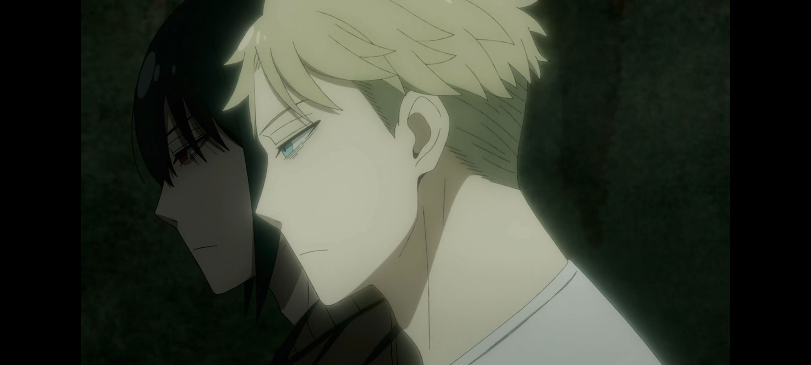 间谍过家家,SPYFAMILY,动画,动漫,番剧,ACG