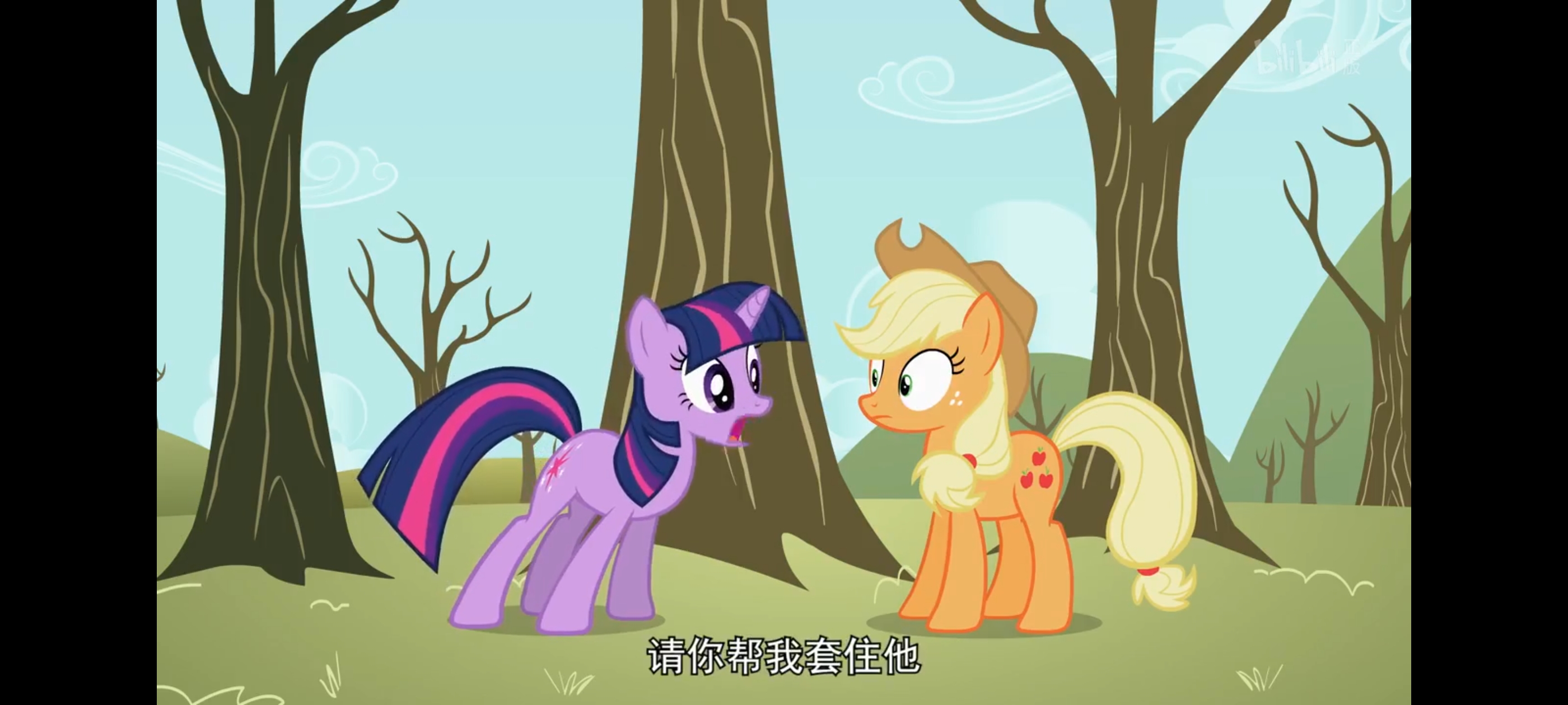 小马宝莉,彩虹小马,我的小马驹,动画,动漫,番剧,二次元,ACG