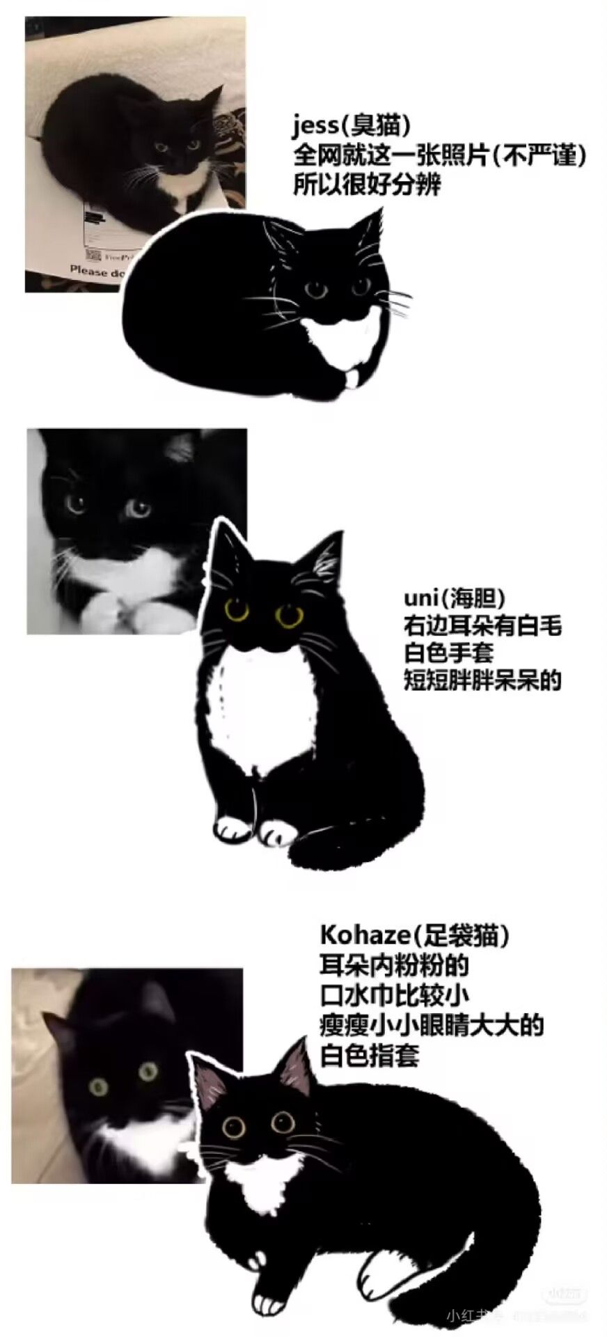 /static/eb63cf9ed252abf69f72e3b9b3e3dbb2eed5eb6c22ace05f4c57e5136de0fa70.jpg