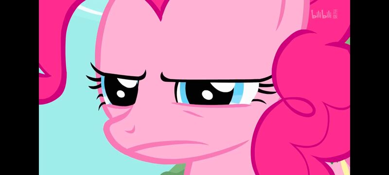 小马宝莉,小马宝莉友谊魔法,彩虹小马,我的小马驹,动画,动漫,番剧,ACG