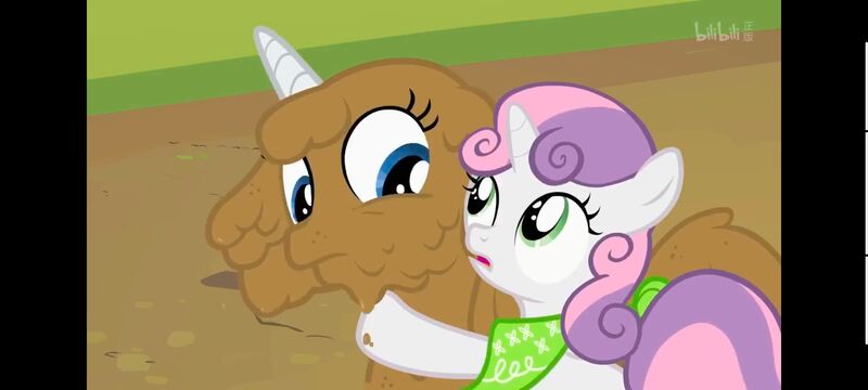 小马宝莉,小马宝莉友谊魔法,彩虹小马,我的小马驹,动画,动漫,番剧,ACG