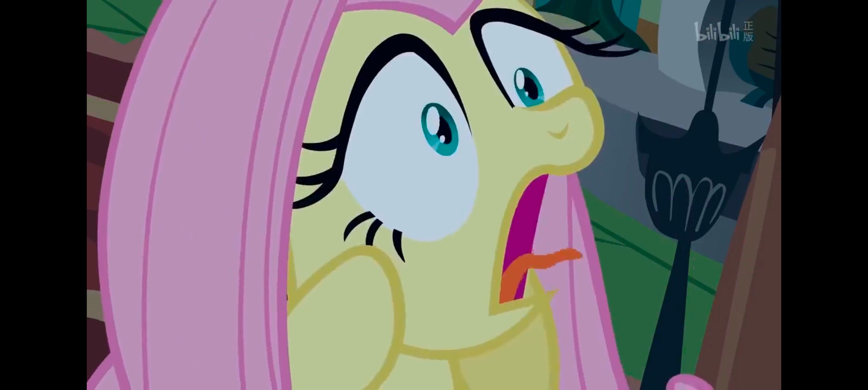 小马宝莉,小马宝莉友谊魔法,彩虹小马,我的小马驹,动漫,动画,番剧,ACG