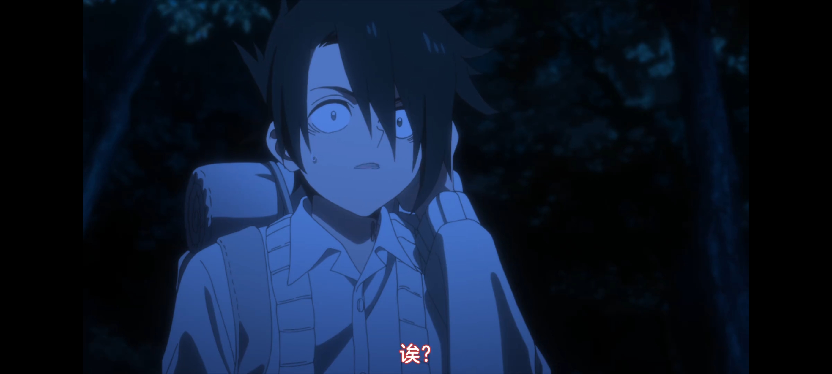 约定的梦幻岛,动画,动漫,番剧,二次元,ACG