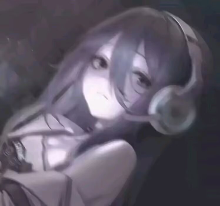 文学,2026新春喵喵宴