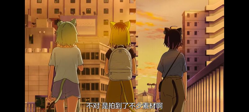 尼古喵喵,雅尼猫,动画,动漫,番剧,日漫,二次元,ACG