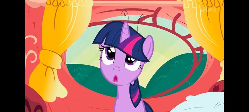 小马宝莉,小马宝莉友谊魔法,彩虹小马,我的小马驹,动画,动漫,番剧,ACG