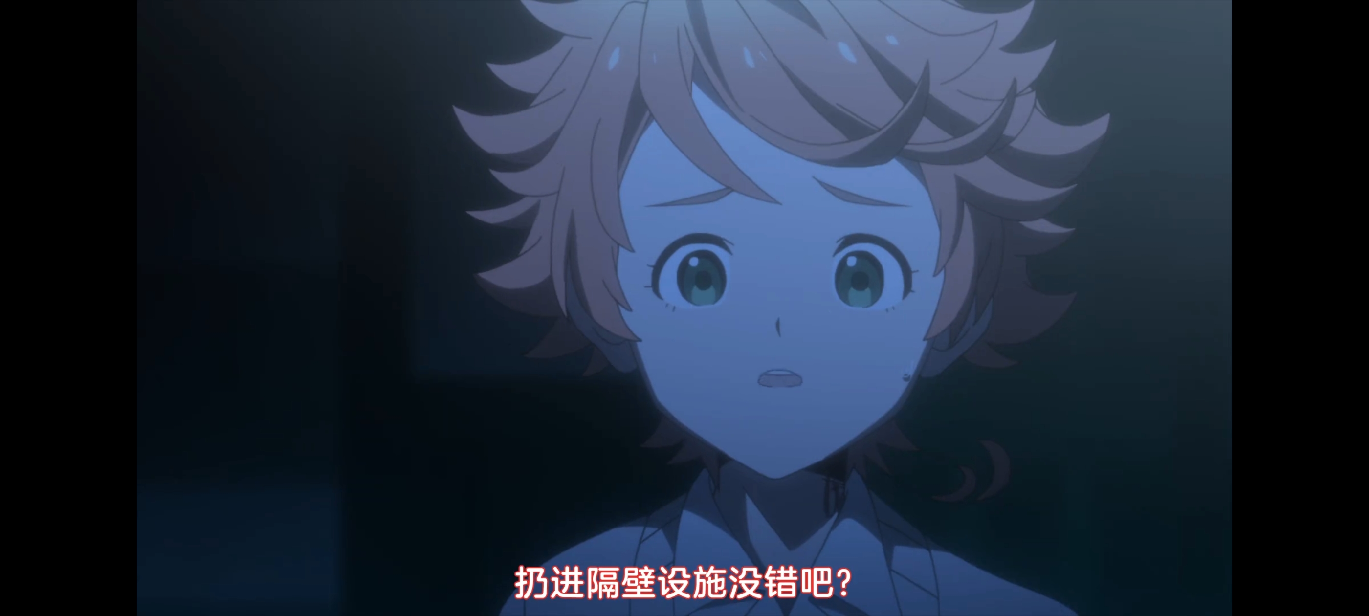 约定的梦幻岛,动画,动漫,番剧,二次元,ACG