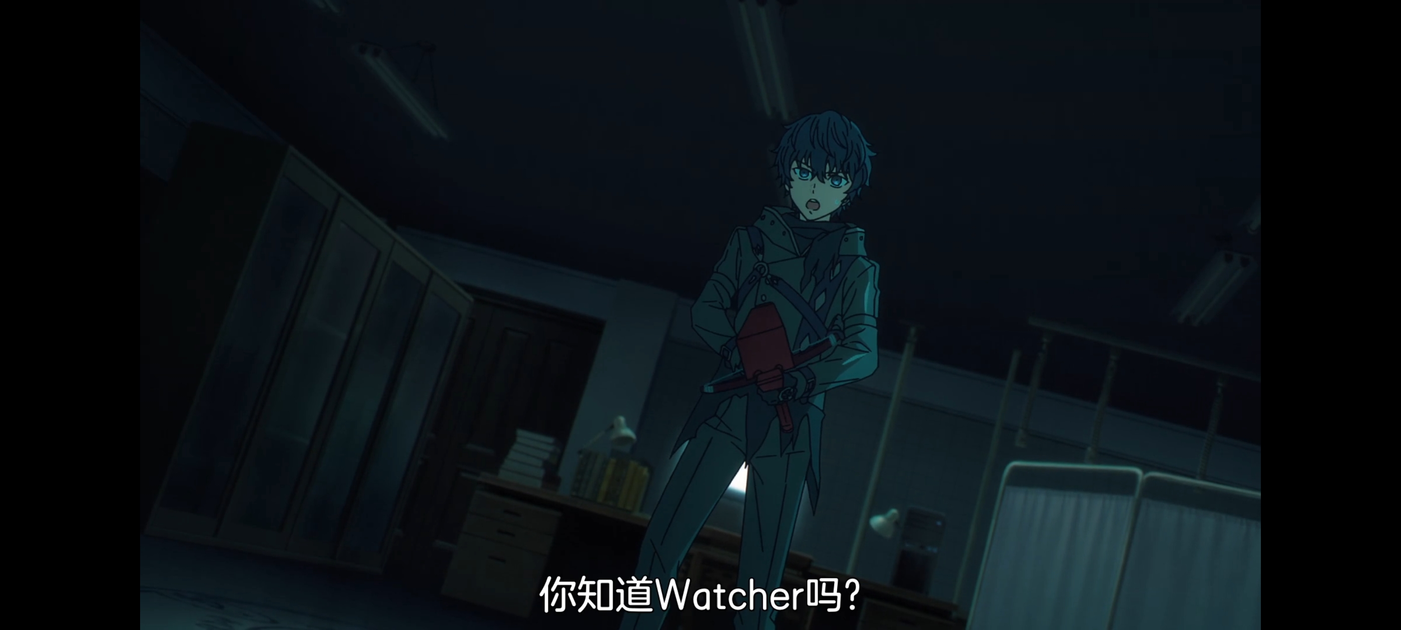 命运奇异赝品,FATE,FatestrangeFake,动漫,动画,番剧,ACG