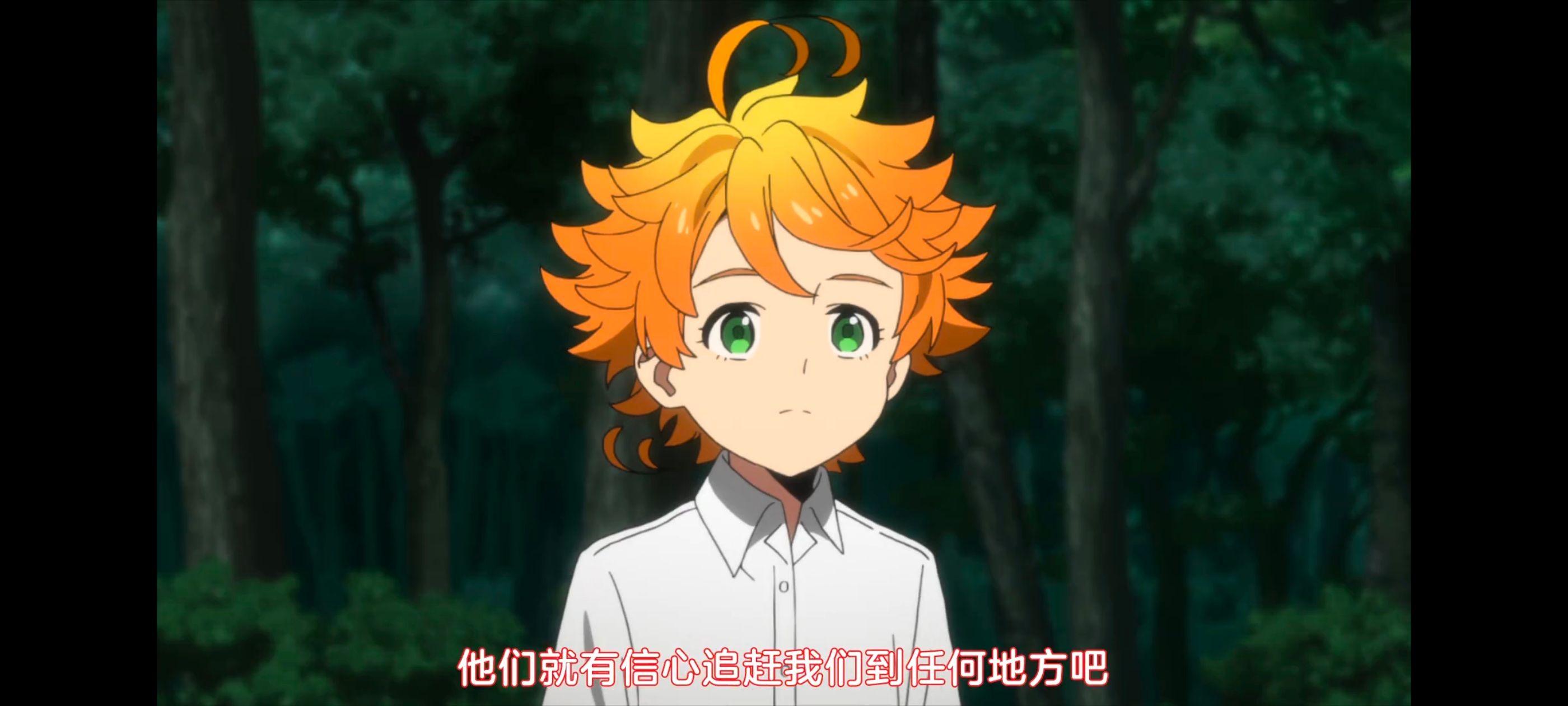 约定的梦幻岛,动画,动漫,番剧,ACG