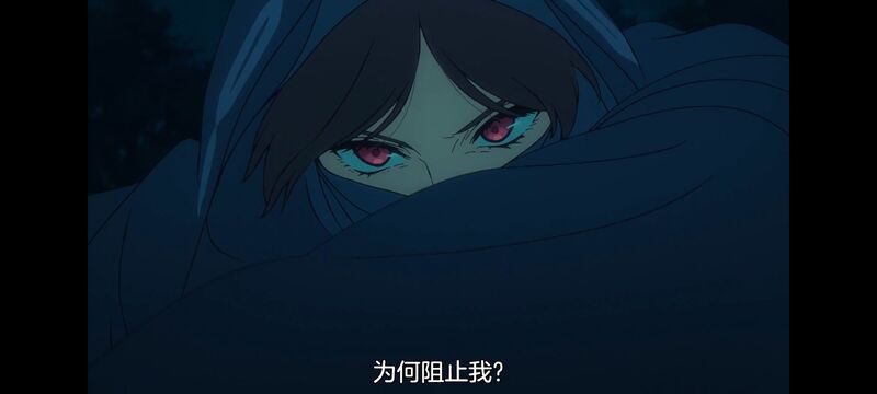 命运奇异赝品,FatestrangeFake,动画,动漫,番剧,ACG