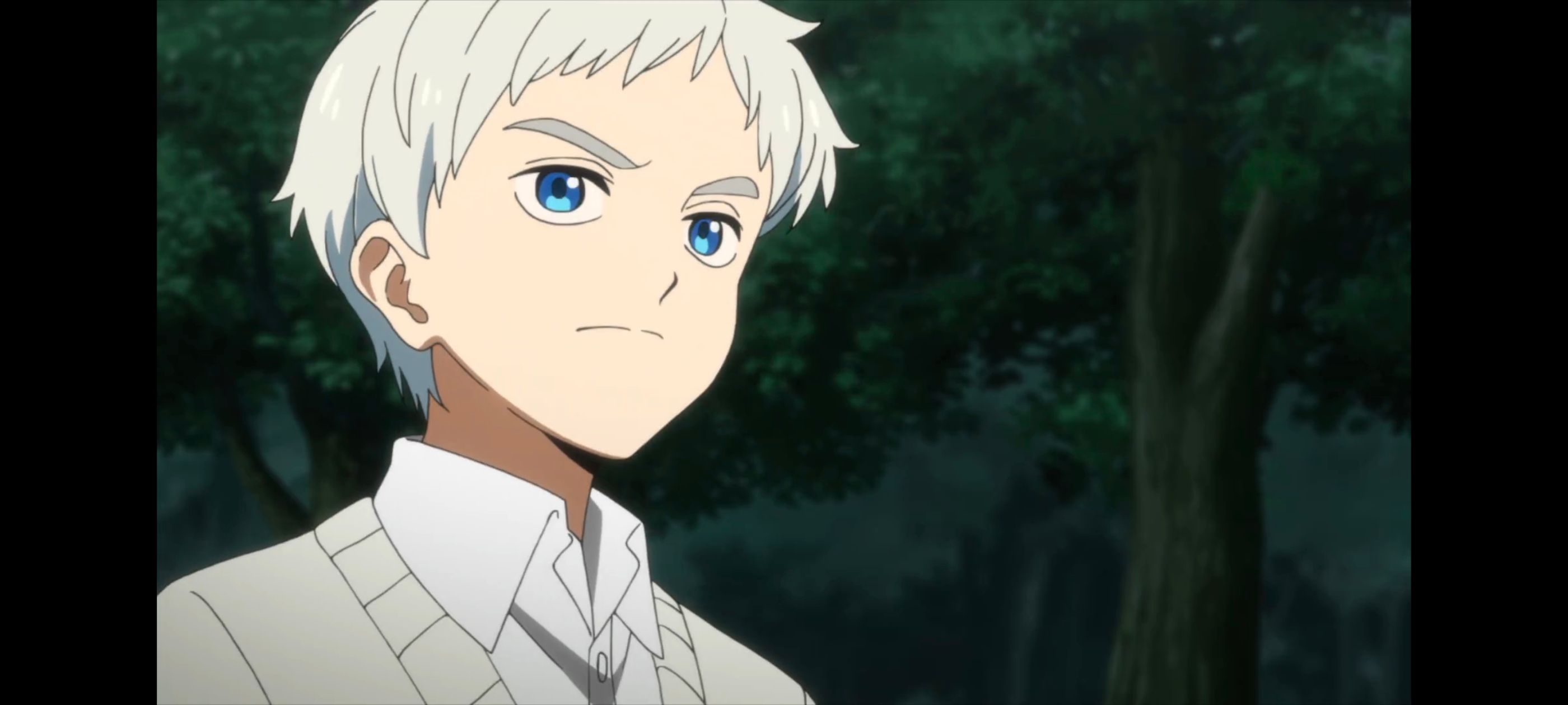 约定的梦幻岛,动画,动漫,番剧,二次元,ACG