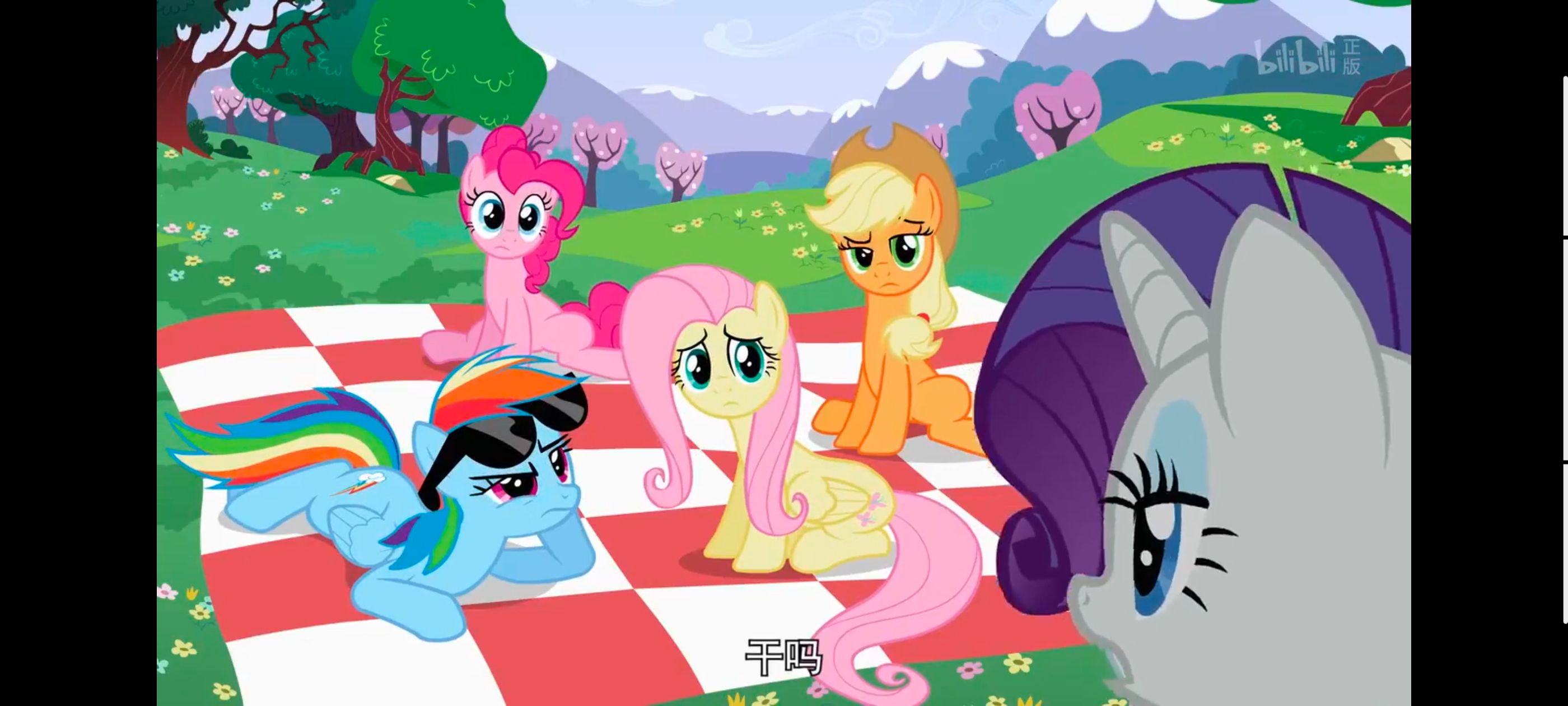 小马宝莉,小马宝莉友谊魔法,彩虹小马,我的小马驹,动画,动漫,番剧,ACG