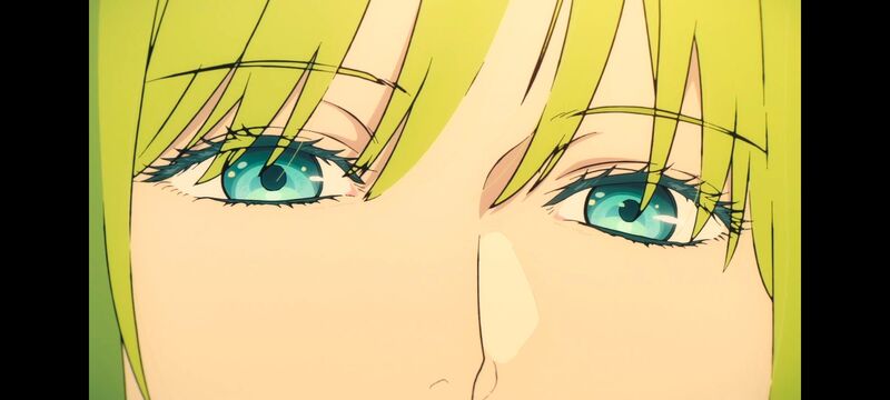 命运奇异赝品,FatestrangeFake,动画,动漫,番剧,ACG