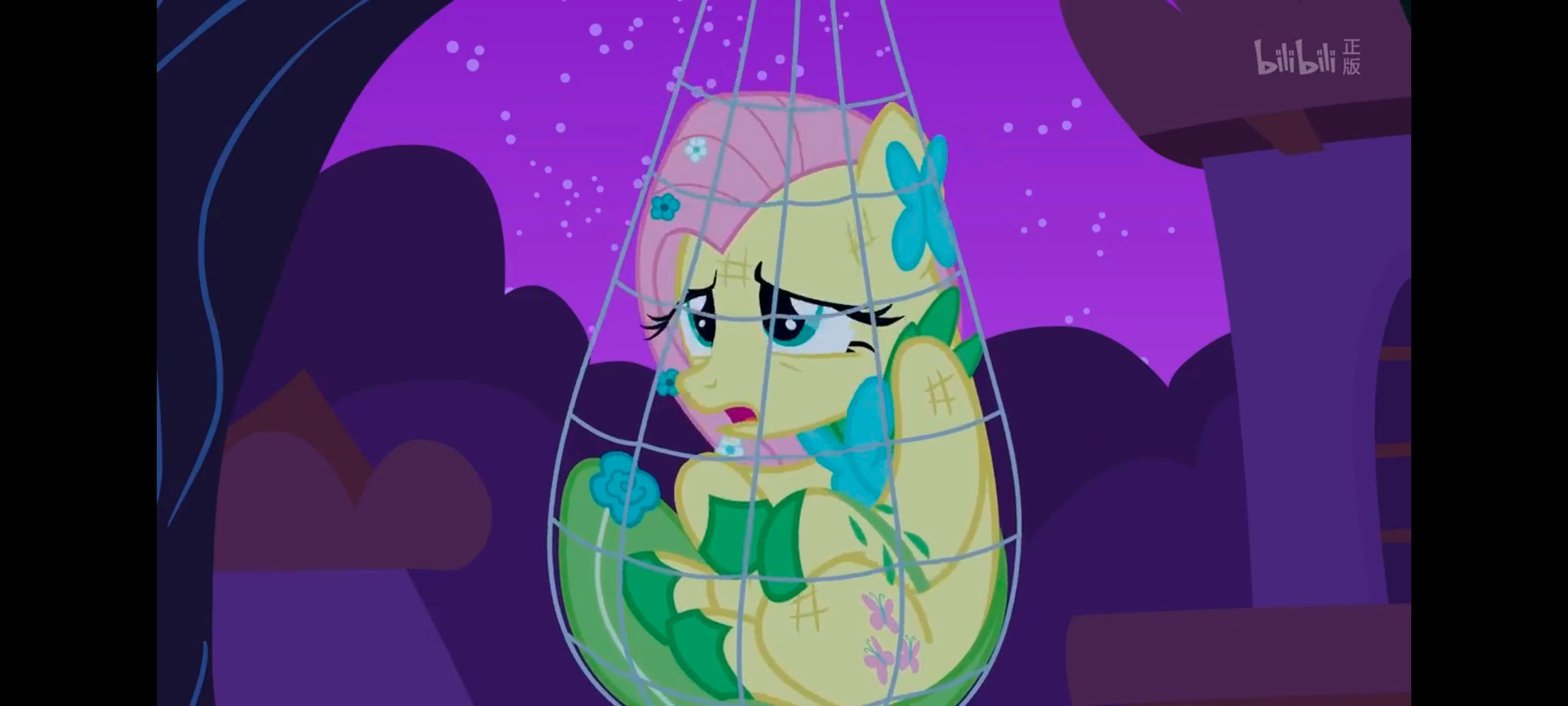 小马宝莉,小马宝莉友谊魔法,彩虹小马,我的小马驹,动画,动漫,番剧,ACG