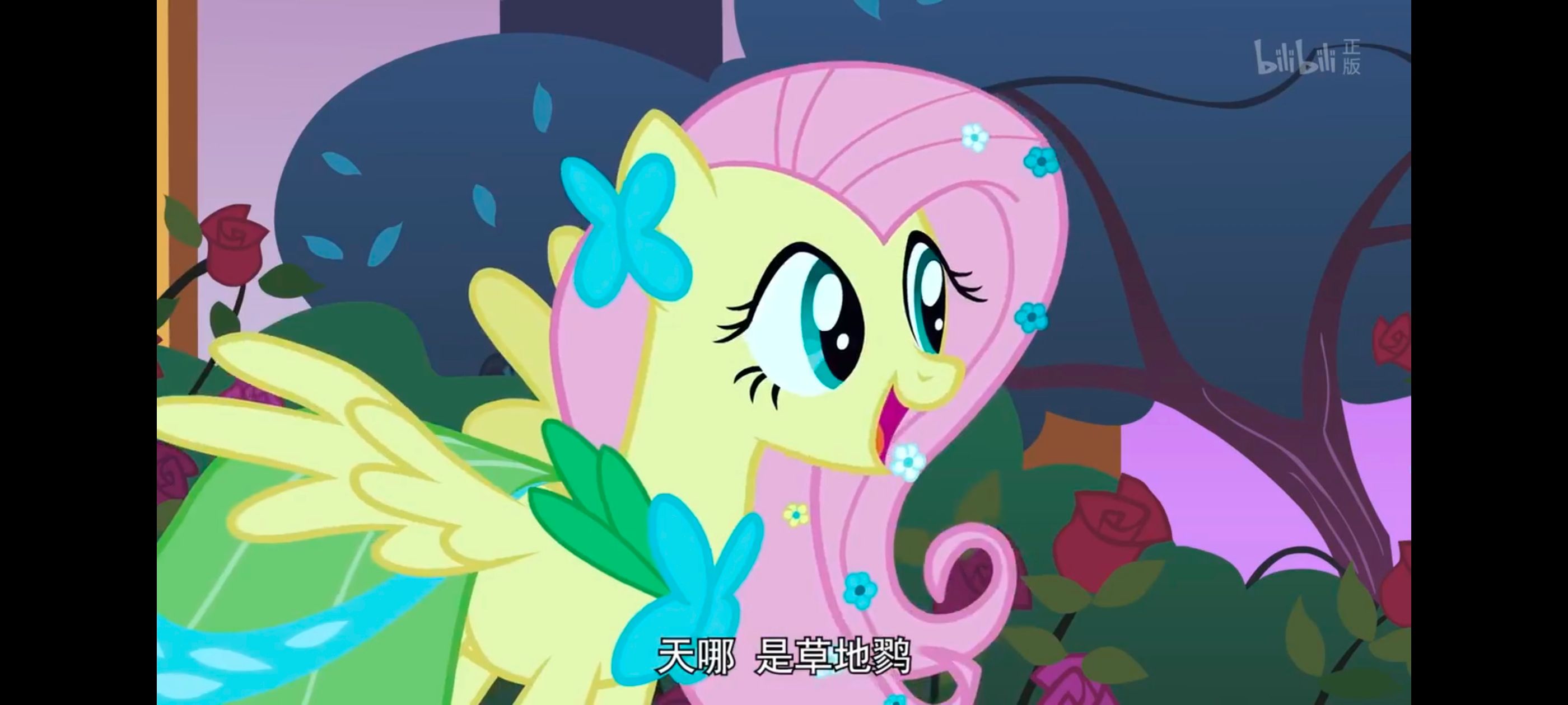 小马宝莉,小马宝莉友谊魔法,彩虹小马,我的小马驹,动画,动漫,番剧,ACG