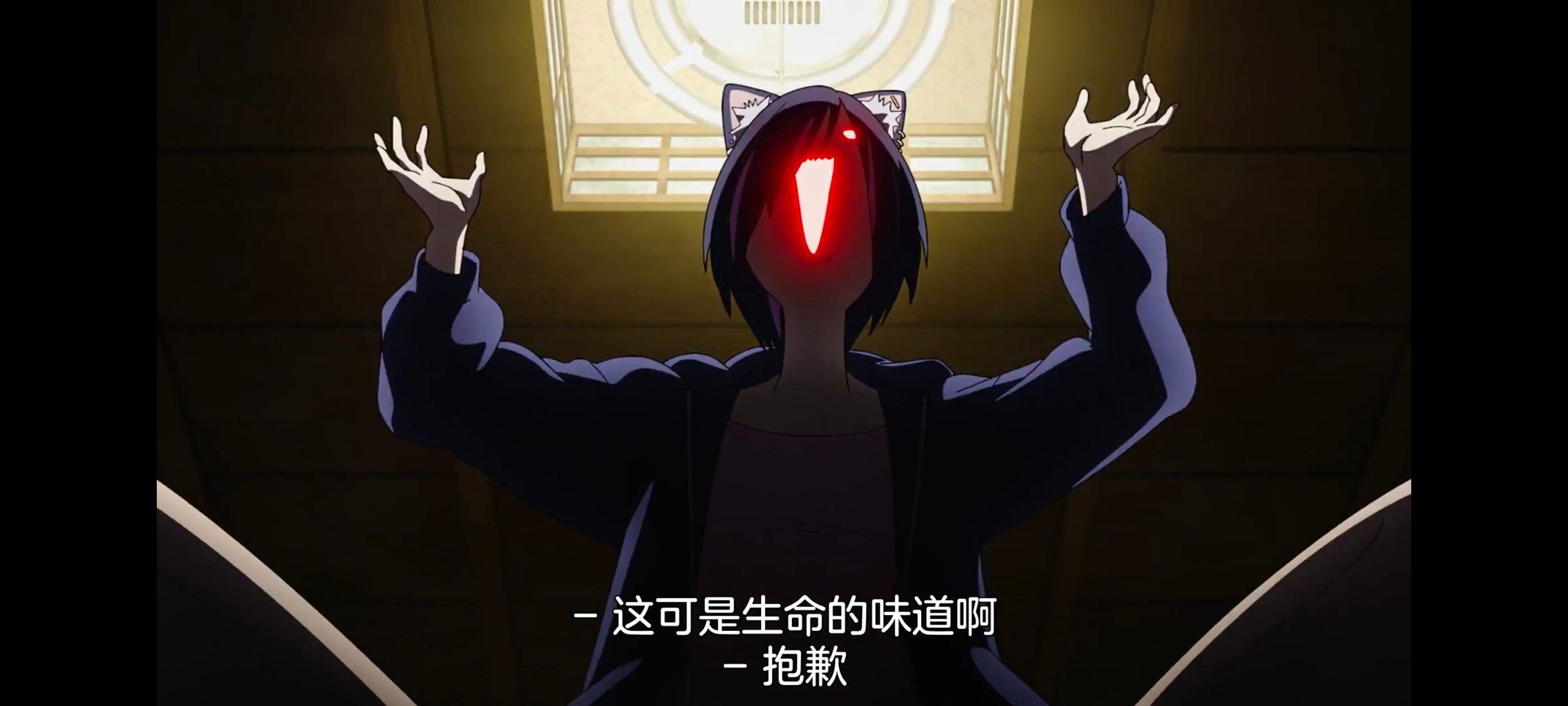 尼古喵喵,雅尼猫,动画,动漫,番剧,二次元,日漫,ACG