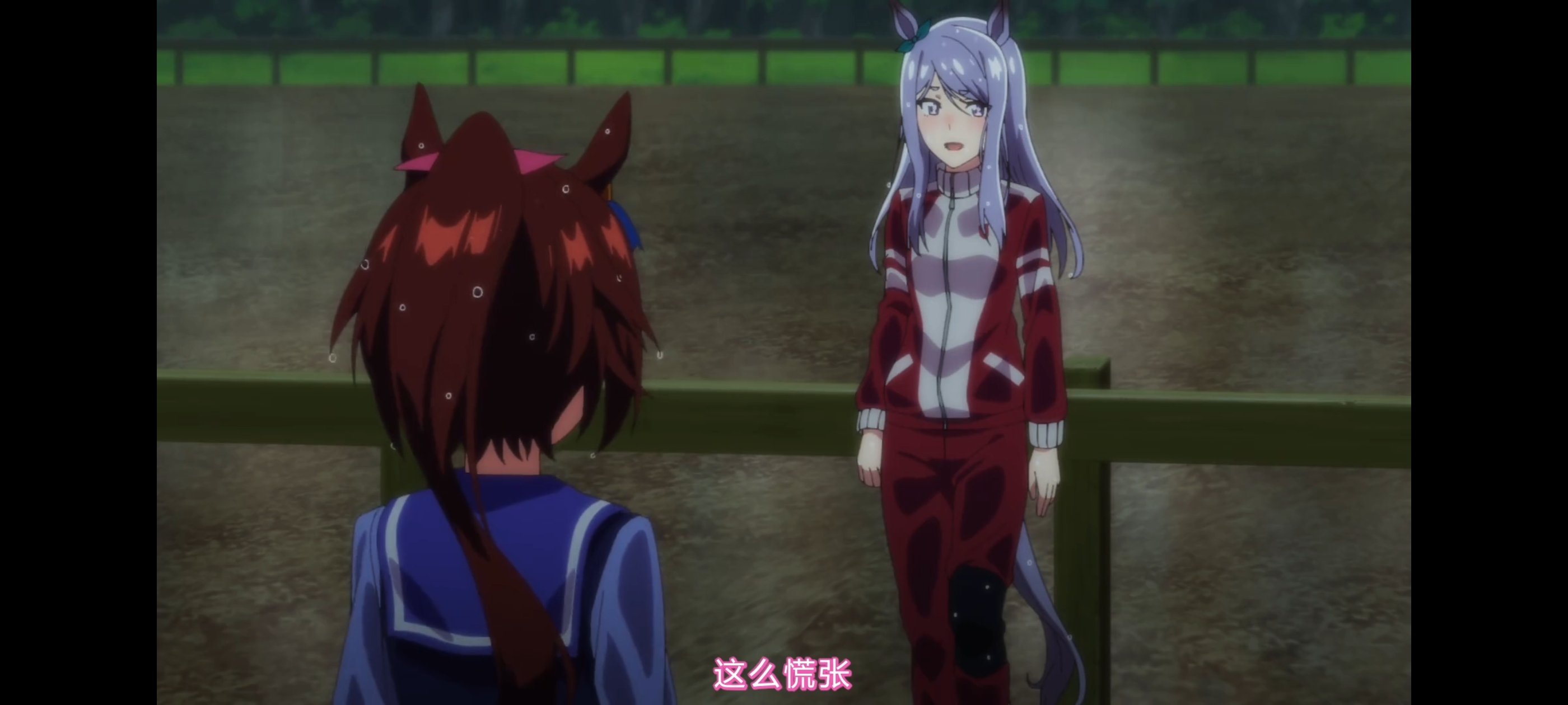 赛马娘,赛马娘第二季,赛马娘PrettyDerby,动画,动漫,番剧,二次元,ACG