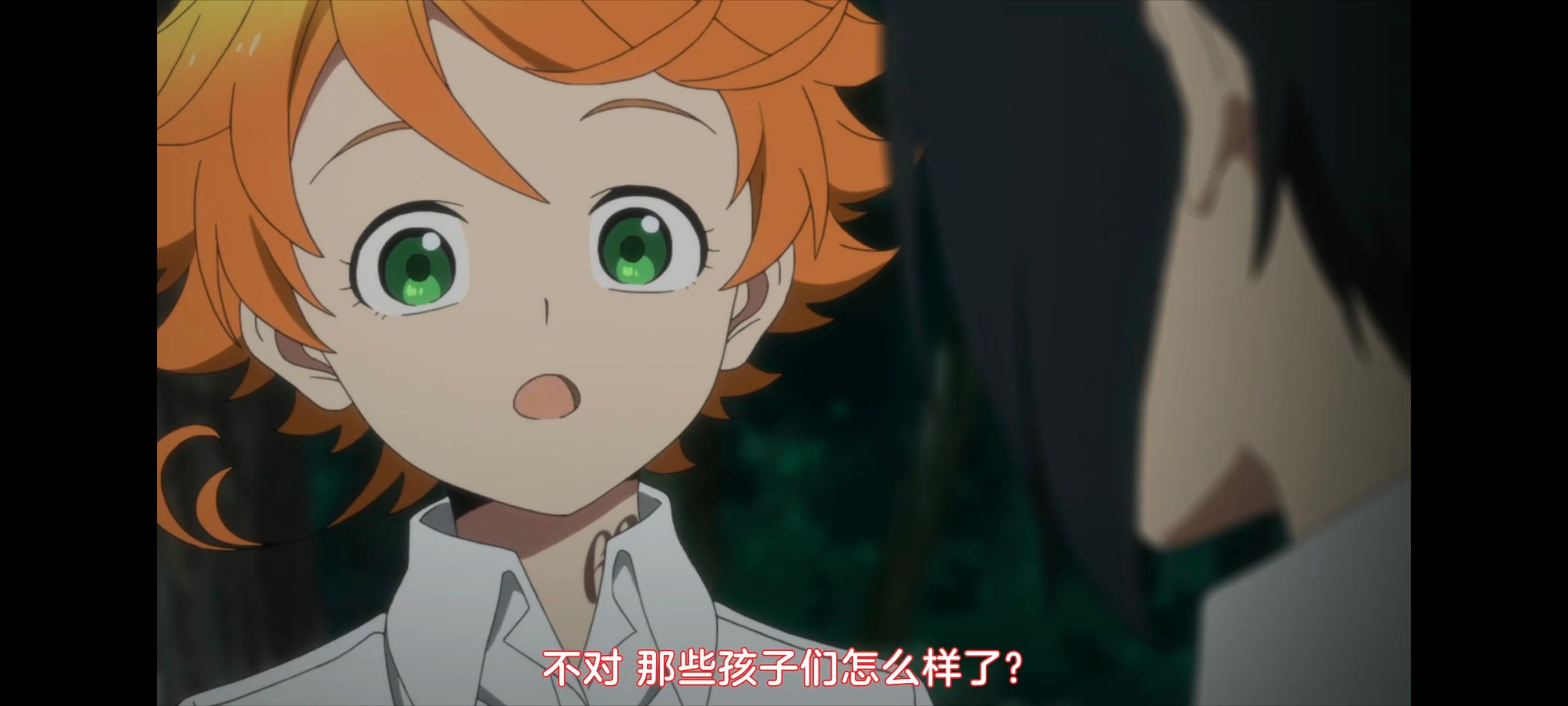 约定的梦幻岛,动画,动漫,番剧,ACG