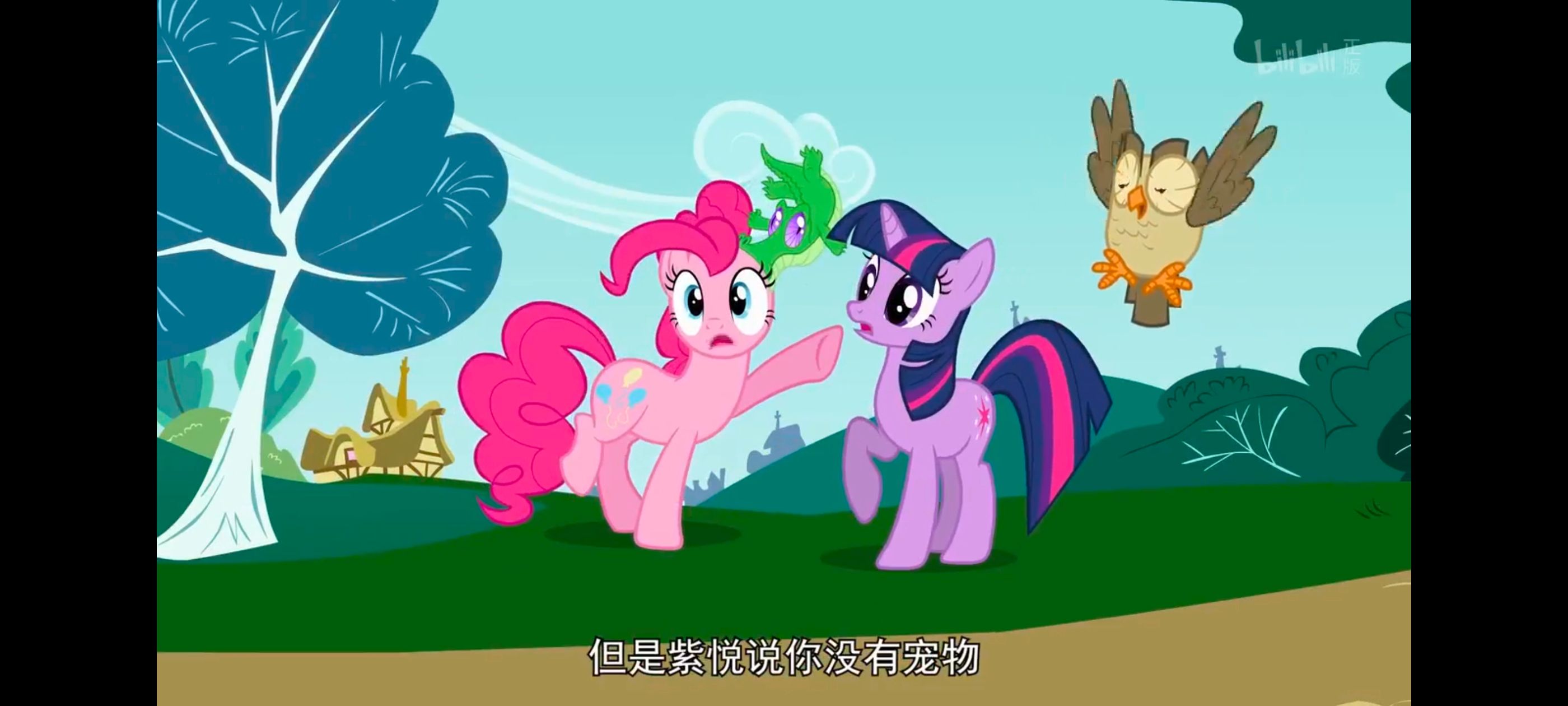 小马宝莉,彩虹小马,我的小马驹,动画,动漫,番剧,二次元,ACG