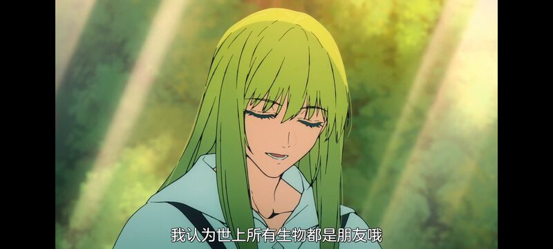 命运奇异赝品,FatestrangeFake,动画,动漫,番剧,ACG