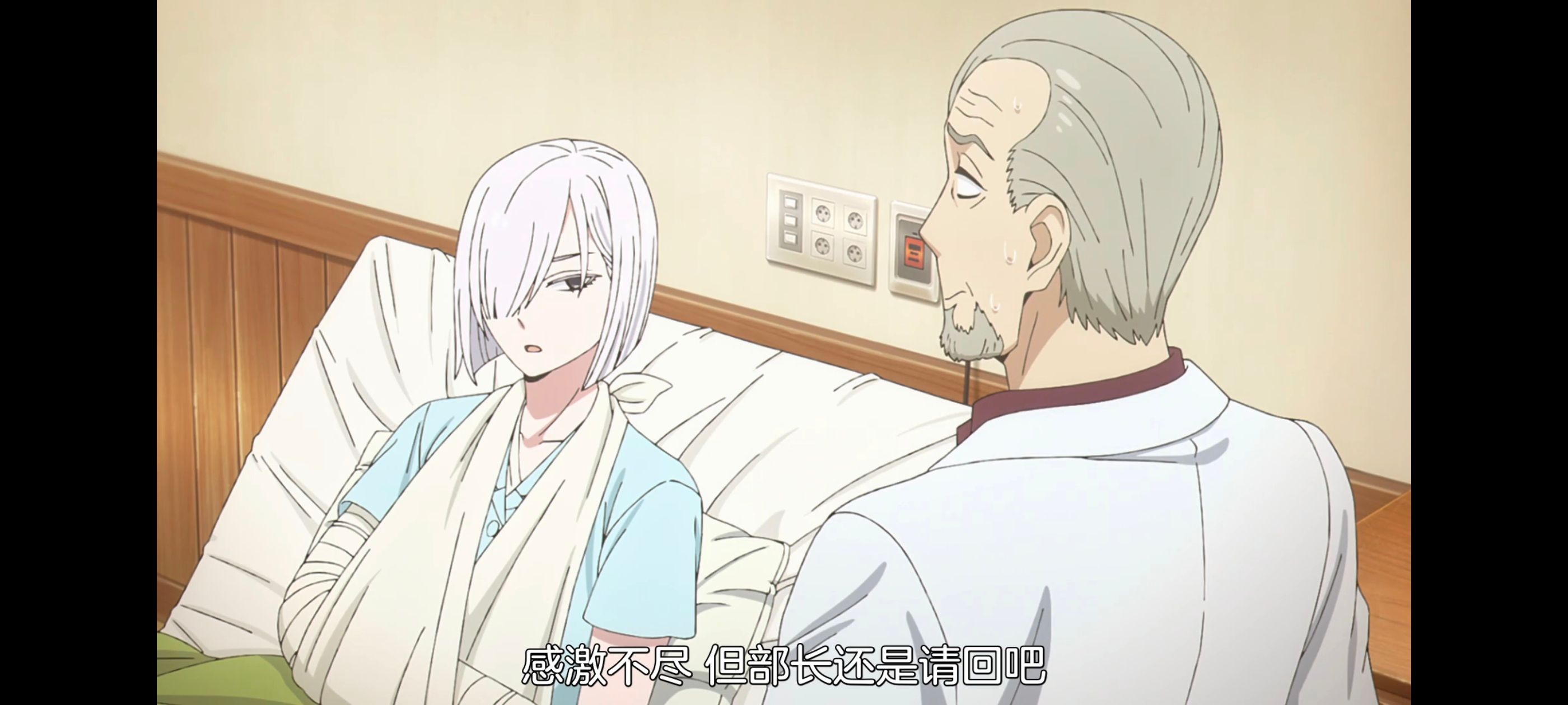 间谍过家家,SPYFAMILY,动画,动漫,番剧,ACG