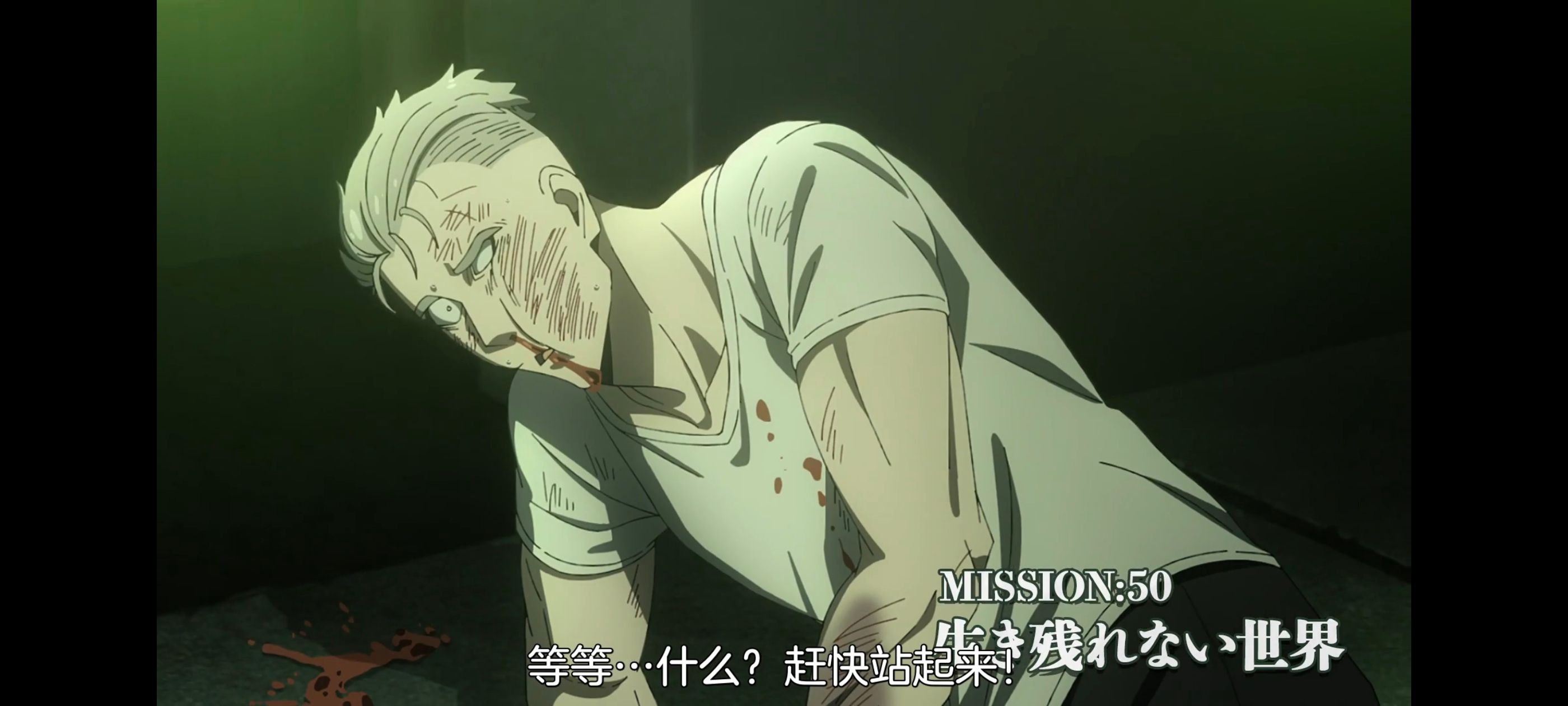 间谍过家家,SPYFAMILY,动画,动漫,番剧,ACG