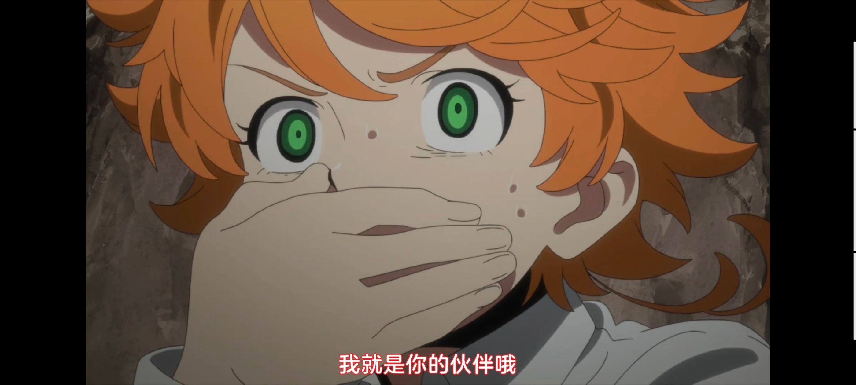 约定的梦幻岛,动画,动漫,番剧,ACG