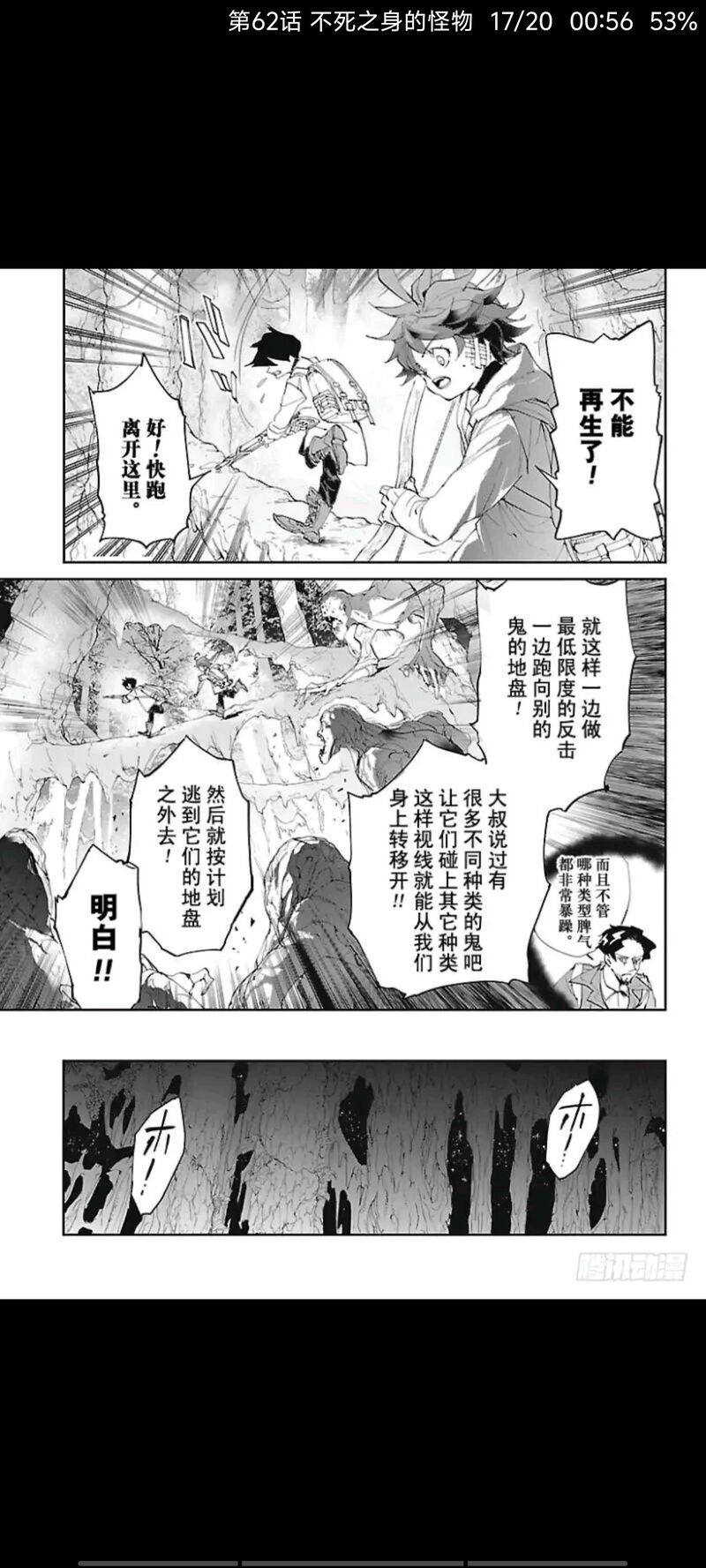 约定的梦幻岛,动漫,漫画,ACG