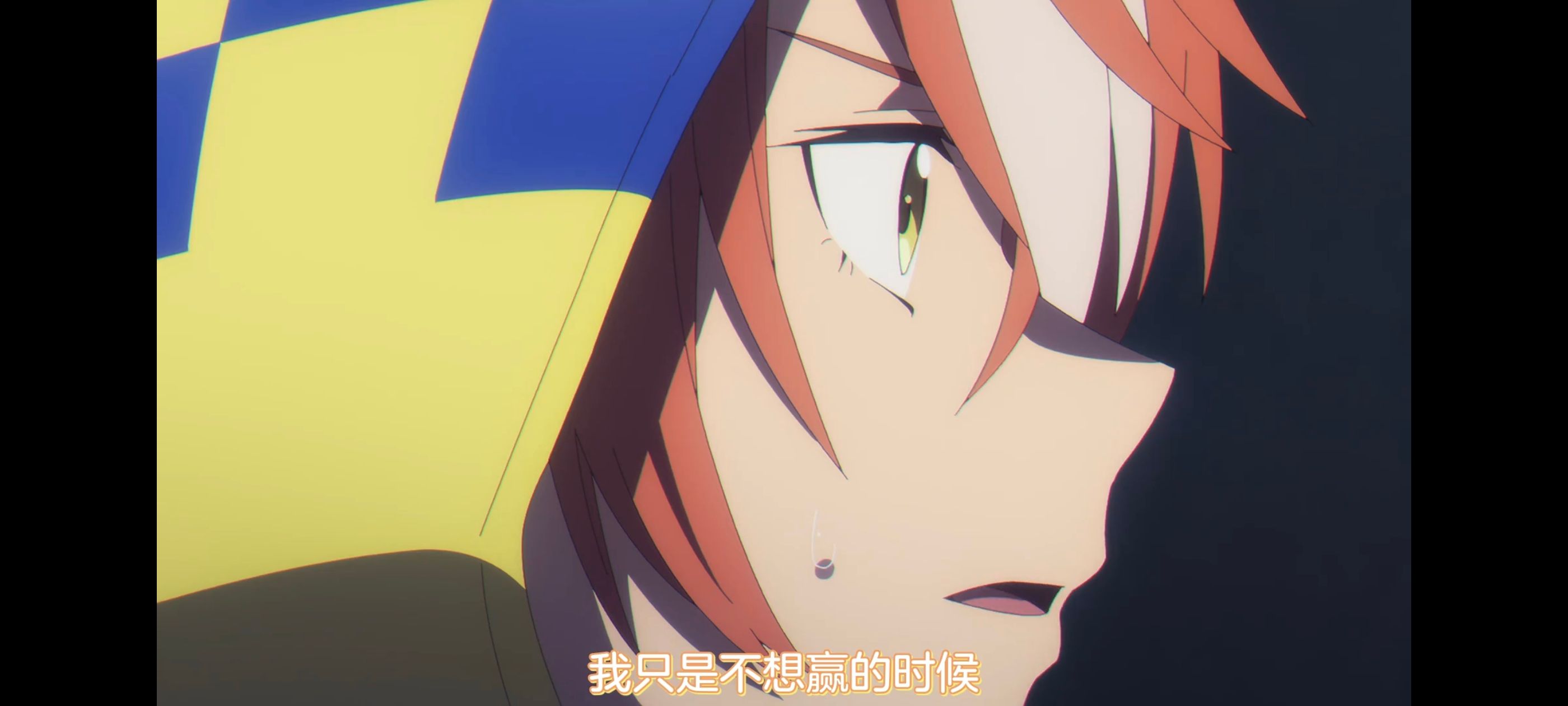 赛马娘,赛马娘PrettyDreby,芦毛灰姑娘,赛马娘芦毛灰姑娘,动画,动漫,番剧,ACG