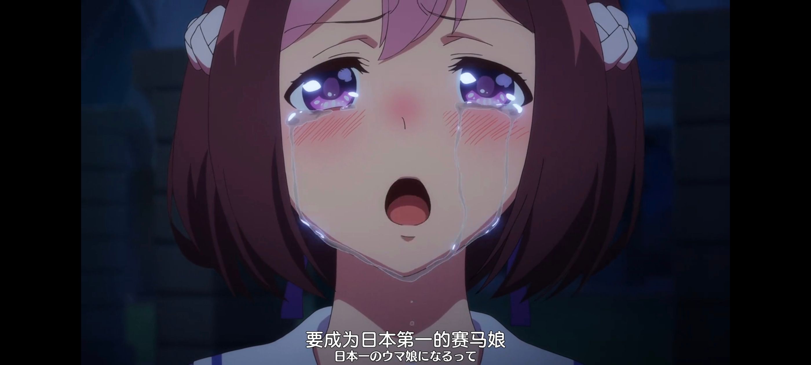 赛马娘,赛马娘PrettyDreby,动画,动漫,番剧,ACG