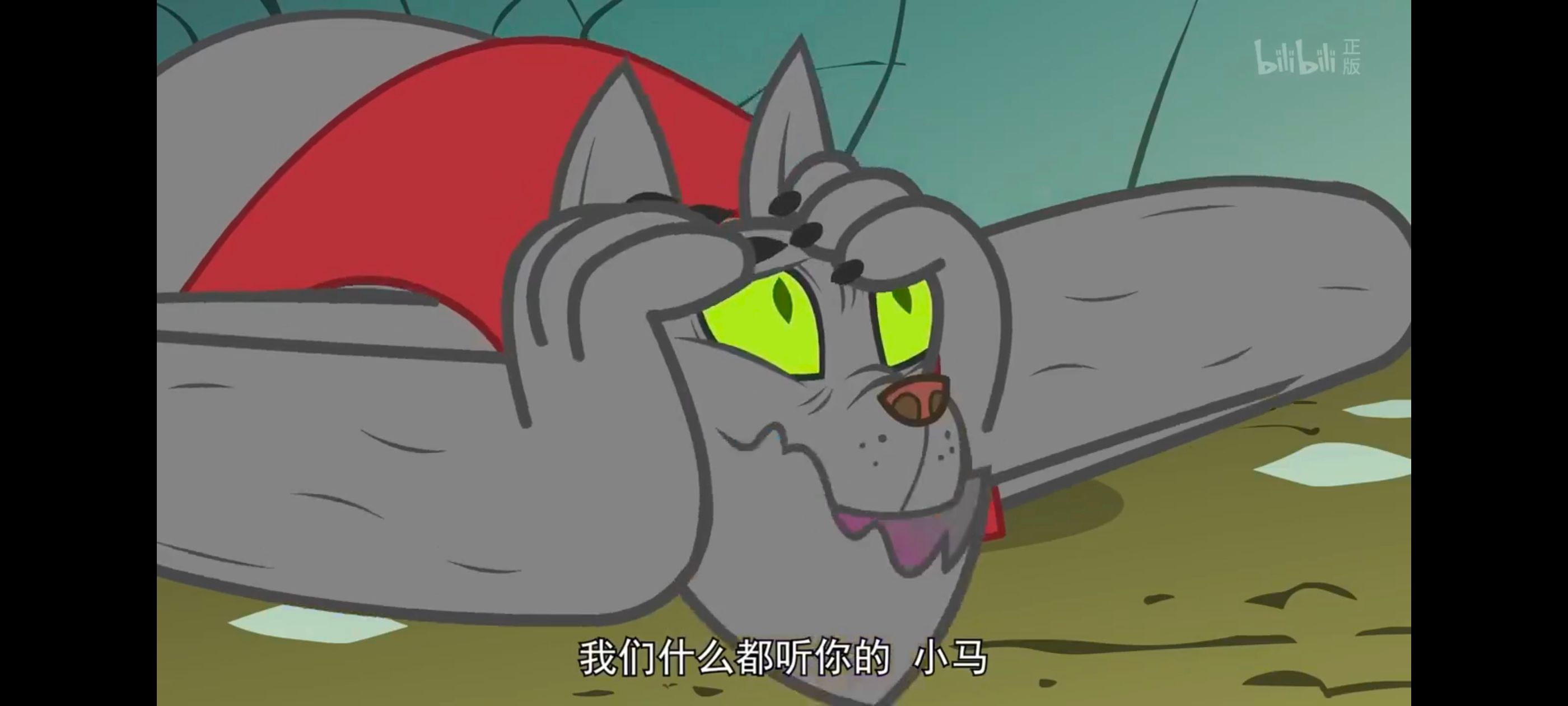 彩虹小马,小马宝莉,我的小马驹,小马宝莉友谊魔法,动画,动漫,番剧,ACG