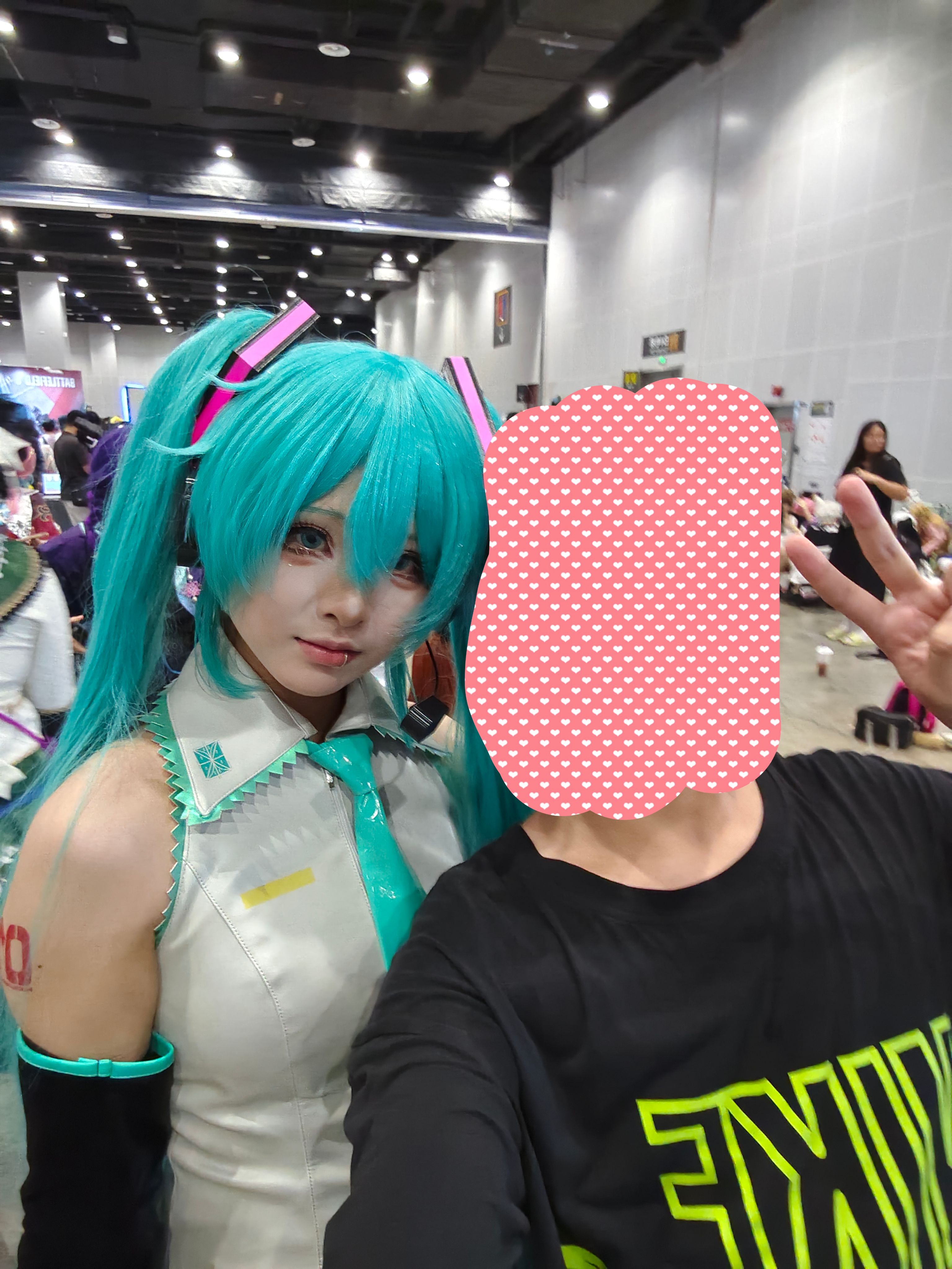 漫展,二次元,东方project,术力口,初音未来,镜音双子,特摄,奥特曼,Minecraft,痛车