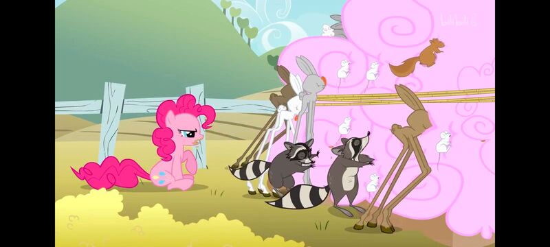 小马宝莉,小马宝莉友谊魔法,彩虹小马,我的小马驹,动画,动漫,番剧,ACG