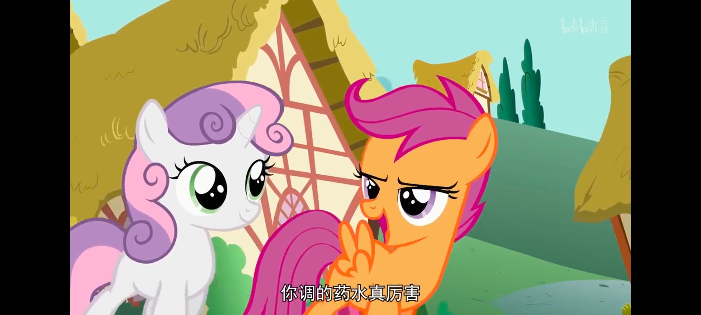 小马宝莉,彩虹小马,我的小马驹,动漫,动画,番剧,ACG