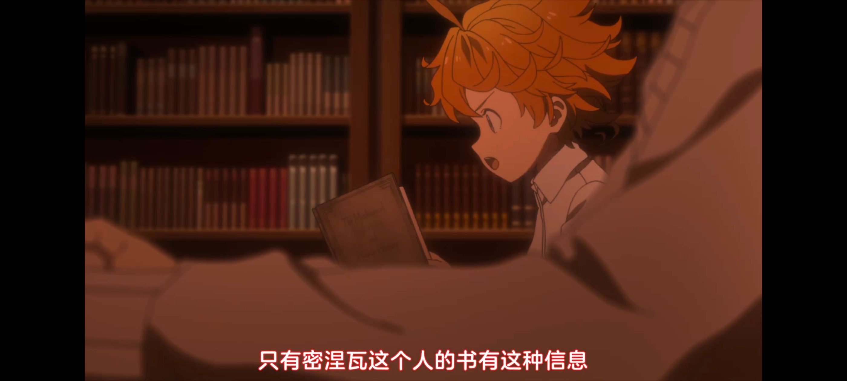 约定的梦幻岛,动画,动漫,番剧,ACG