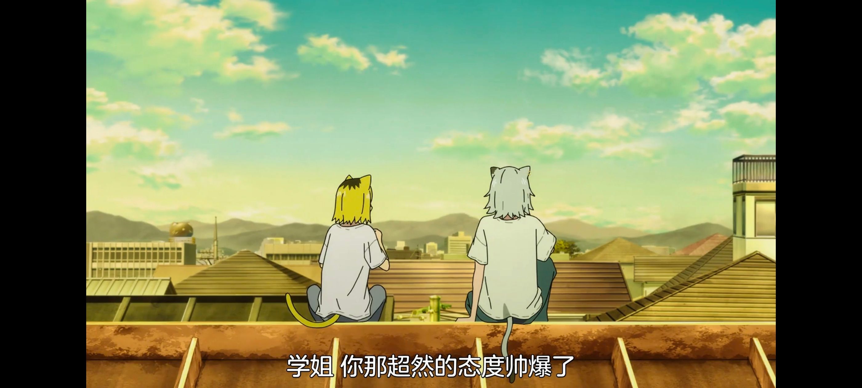 尼古喵喵,雅尼猫,动画,动漫,番剧,二次元,日漫,ACG