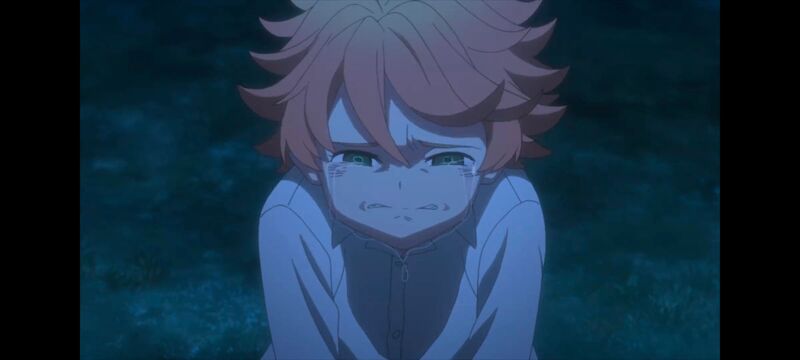 约定的梦幻岛,动画,动漫,番剧,ACG