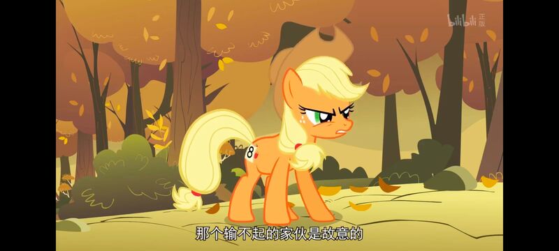 小马宝莉,小马宝莉友谊魔法,彩虹小马,我的小马驹,动画,动漫,番剧,ACG