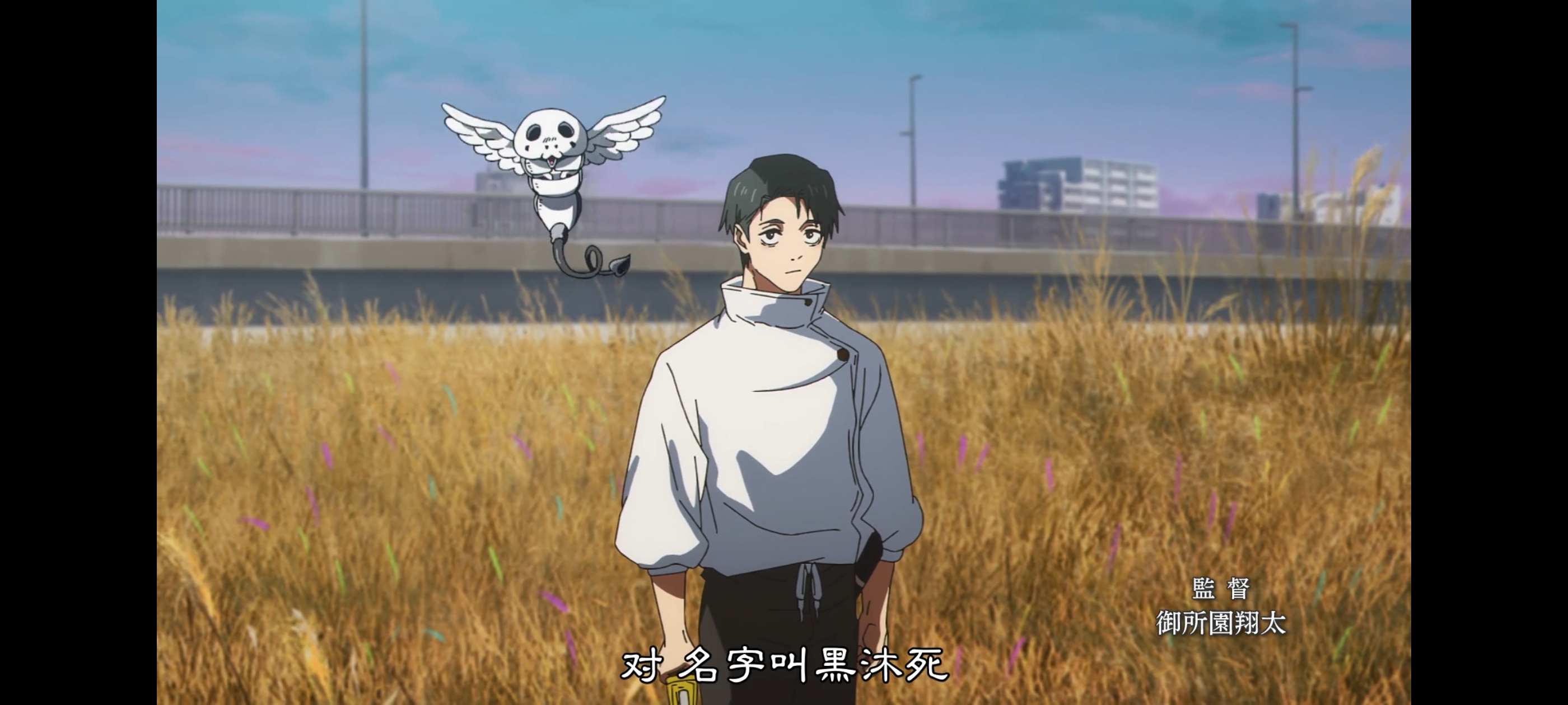 咒术回战,咒术回战死灭回游,动画,动漫,番剧,二次元,ACG