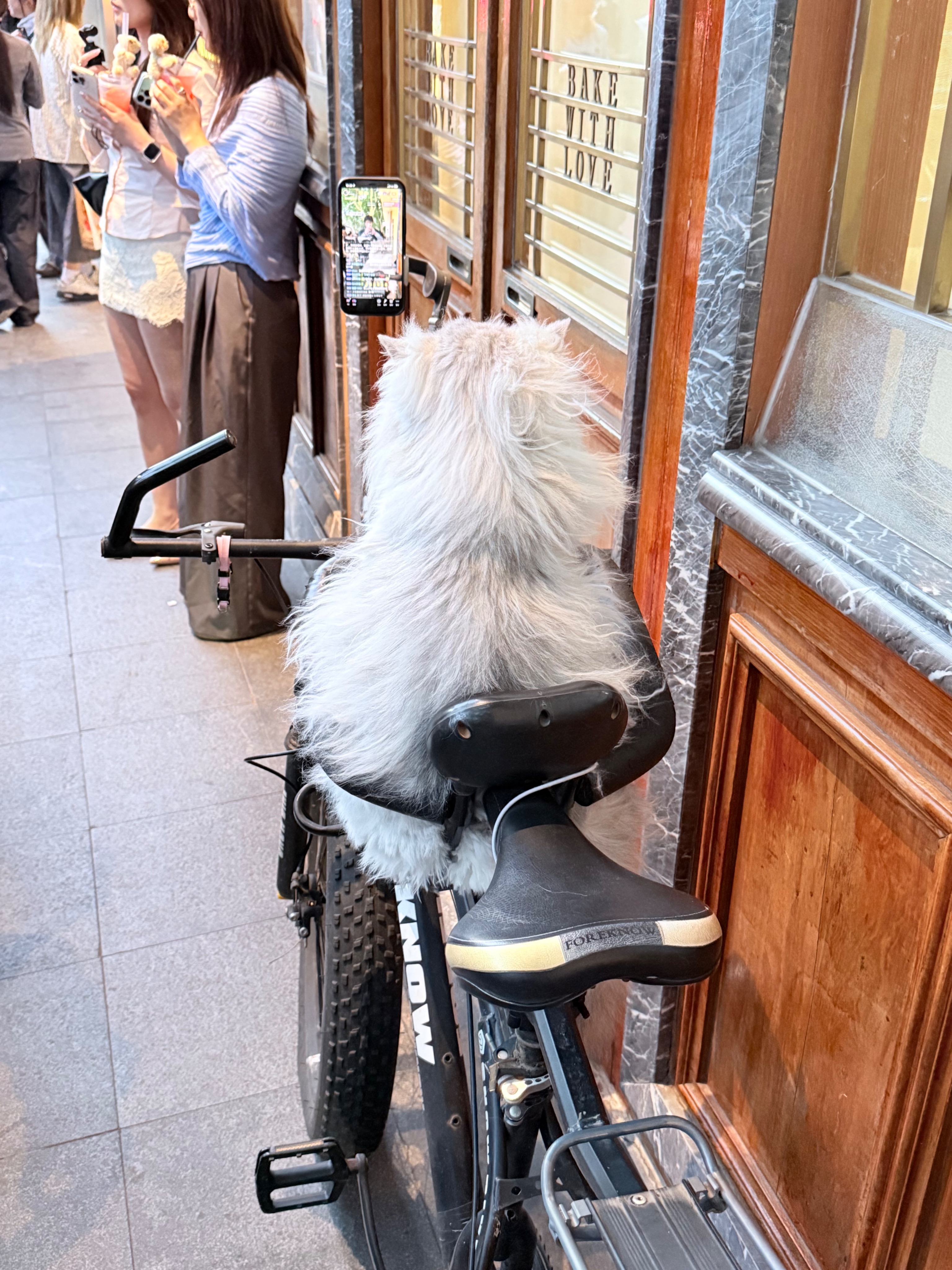 喵隐,蓝与白工作室