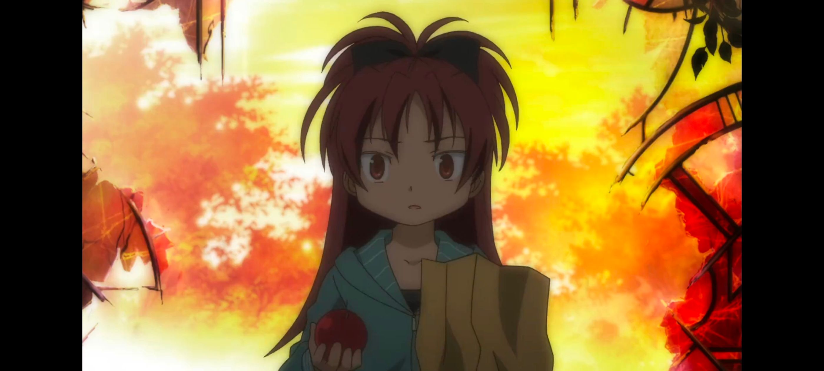 魔法少女小圆,魔法少女,动画,动漫,番剧,二次元,ACG