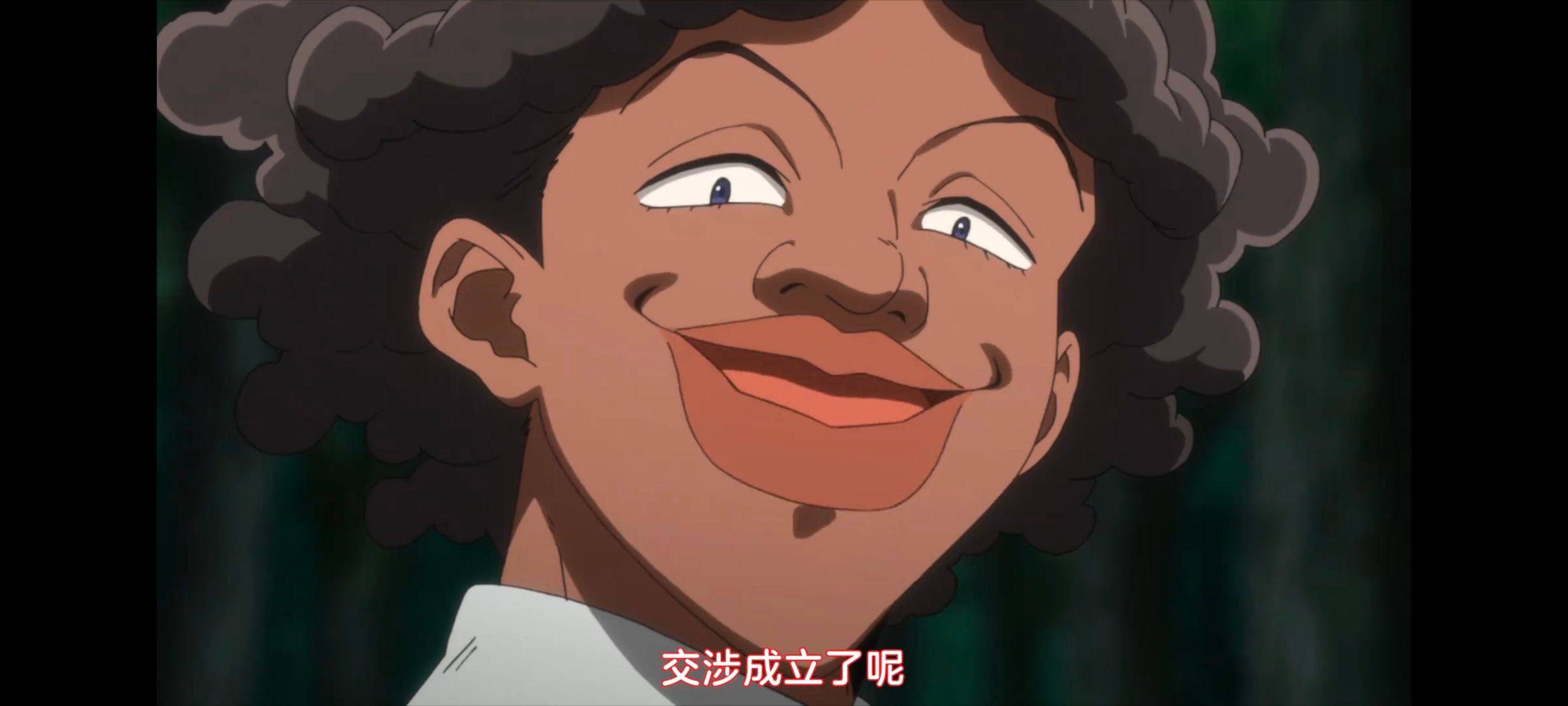 约定的梦幻岛,动画,动漫,番剧,二次元,ACG