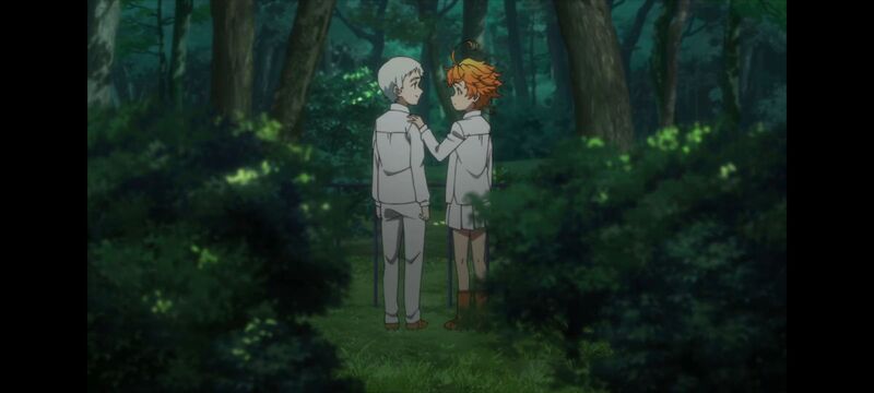 约定的梦幻岛,动画,动漫,番剧,ACG