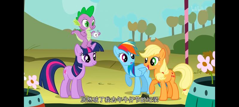 小马宝莉,小马宝莉友谊魔法,彩虹小马,我的小马驹,动画,动漫,番剧,ACG