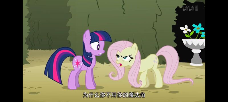 小马宝莉,小马宝莉友谊魔法,彩虹小马,我的小马驹,动画,动漫,番剧,ACG